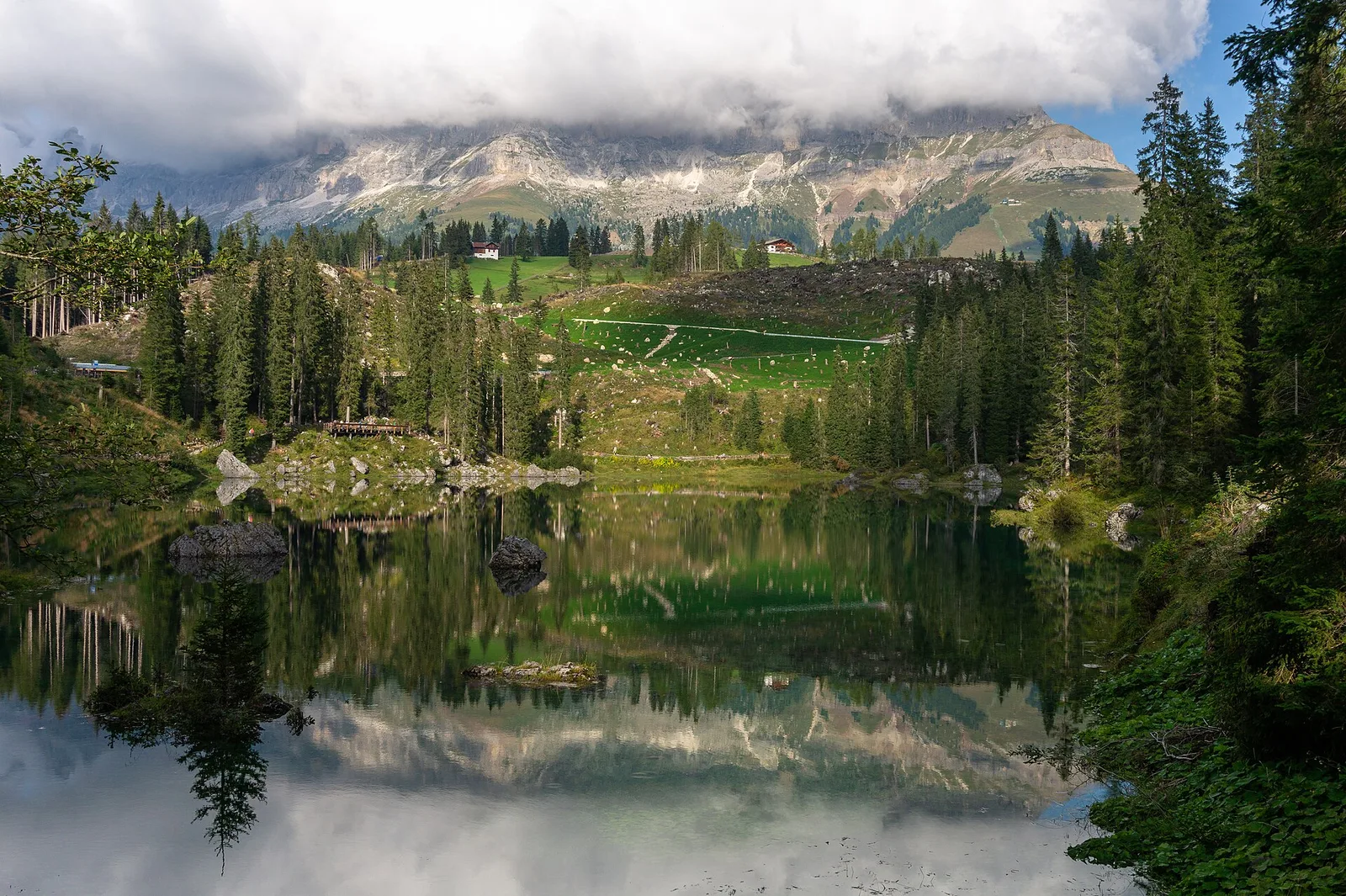 Lake Carezza, pine and emerald under the Latemar