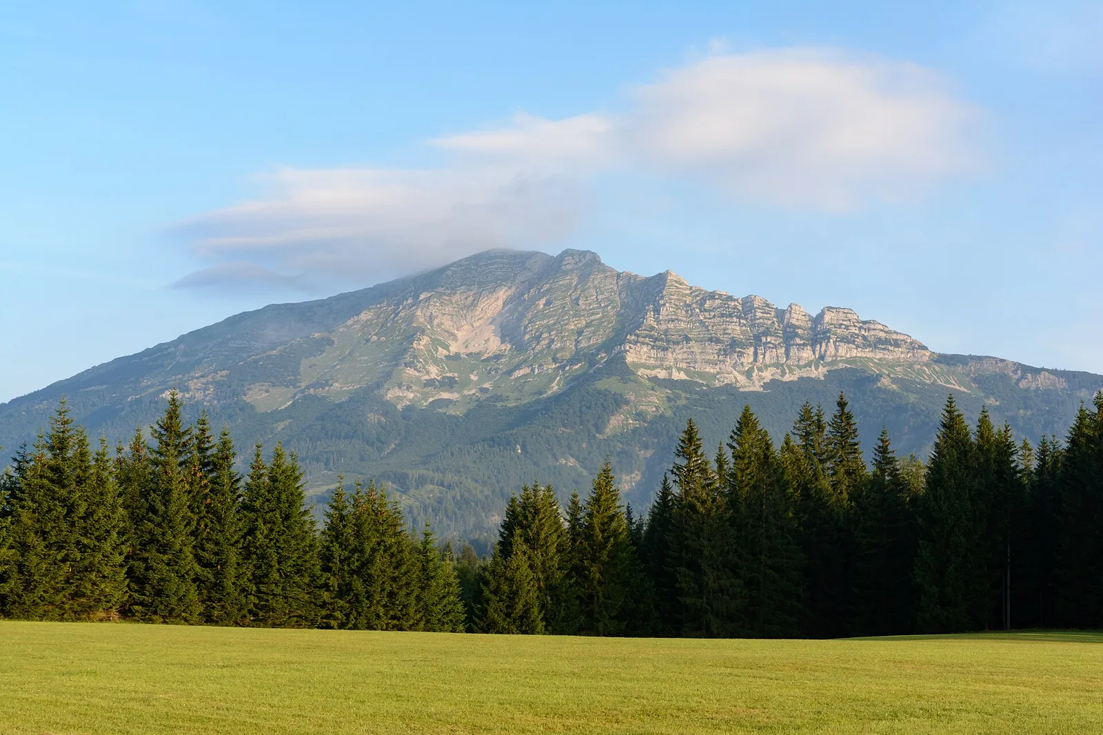 Otscher