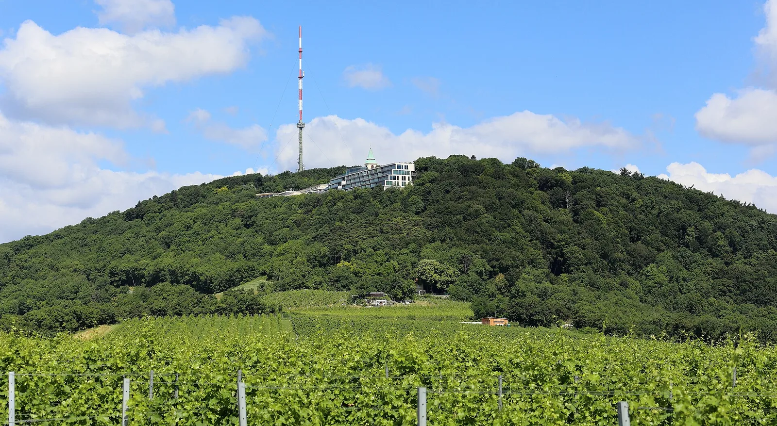 Kahlenberg