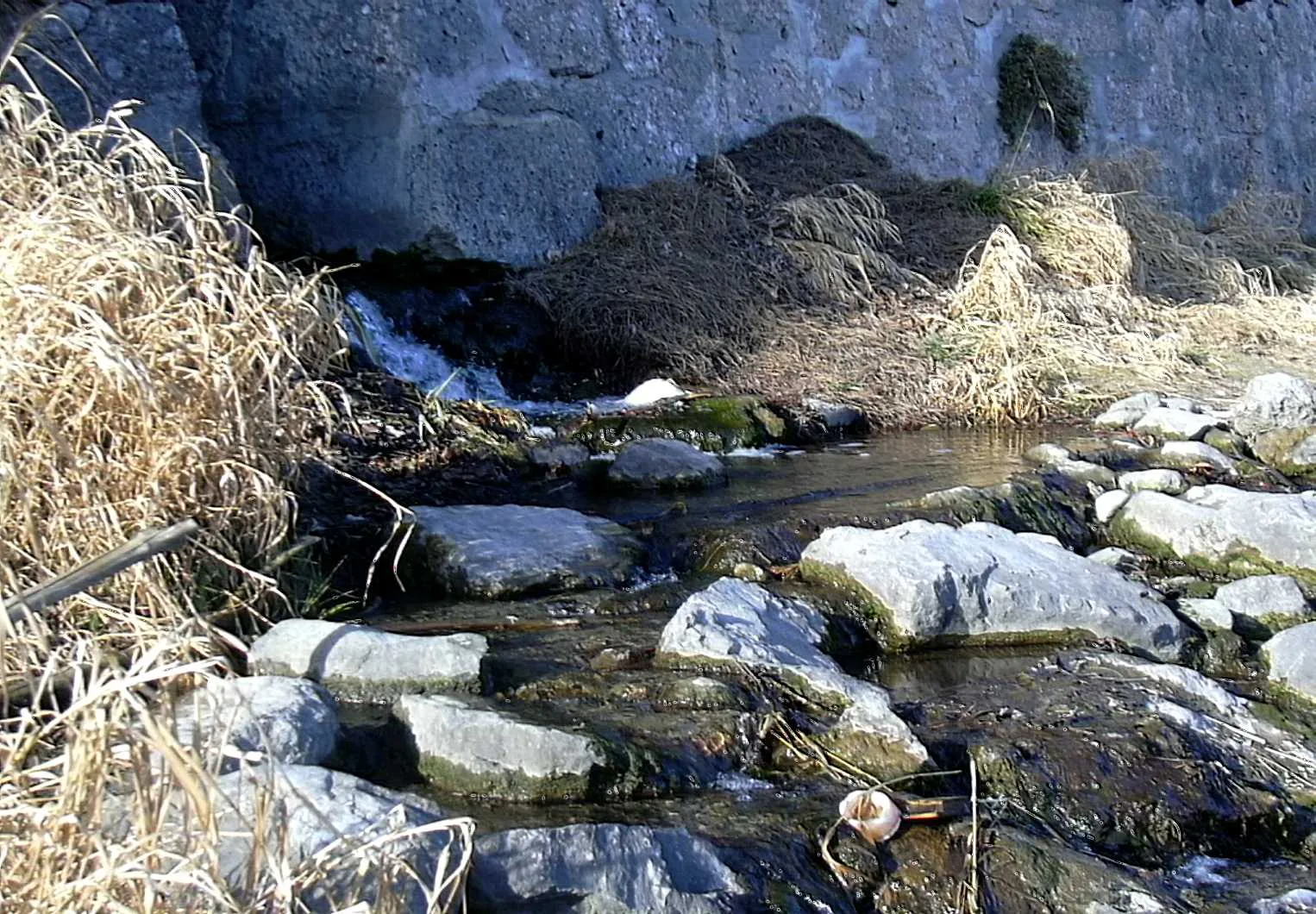 Inn river