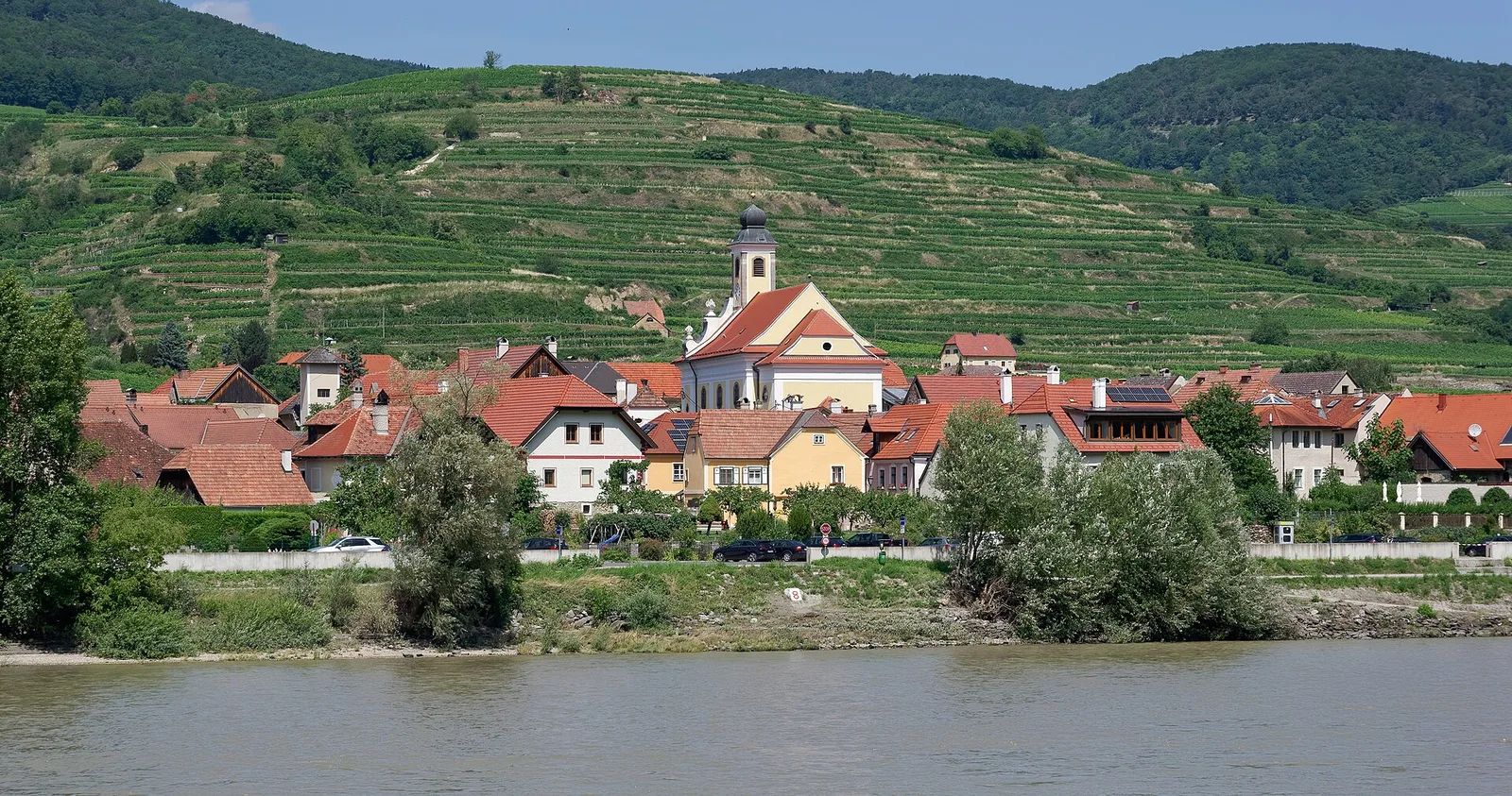 Wachau terraces