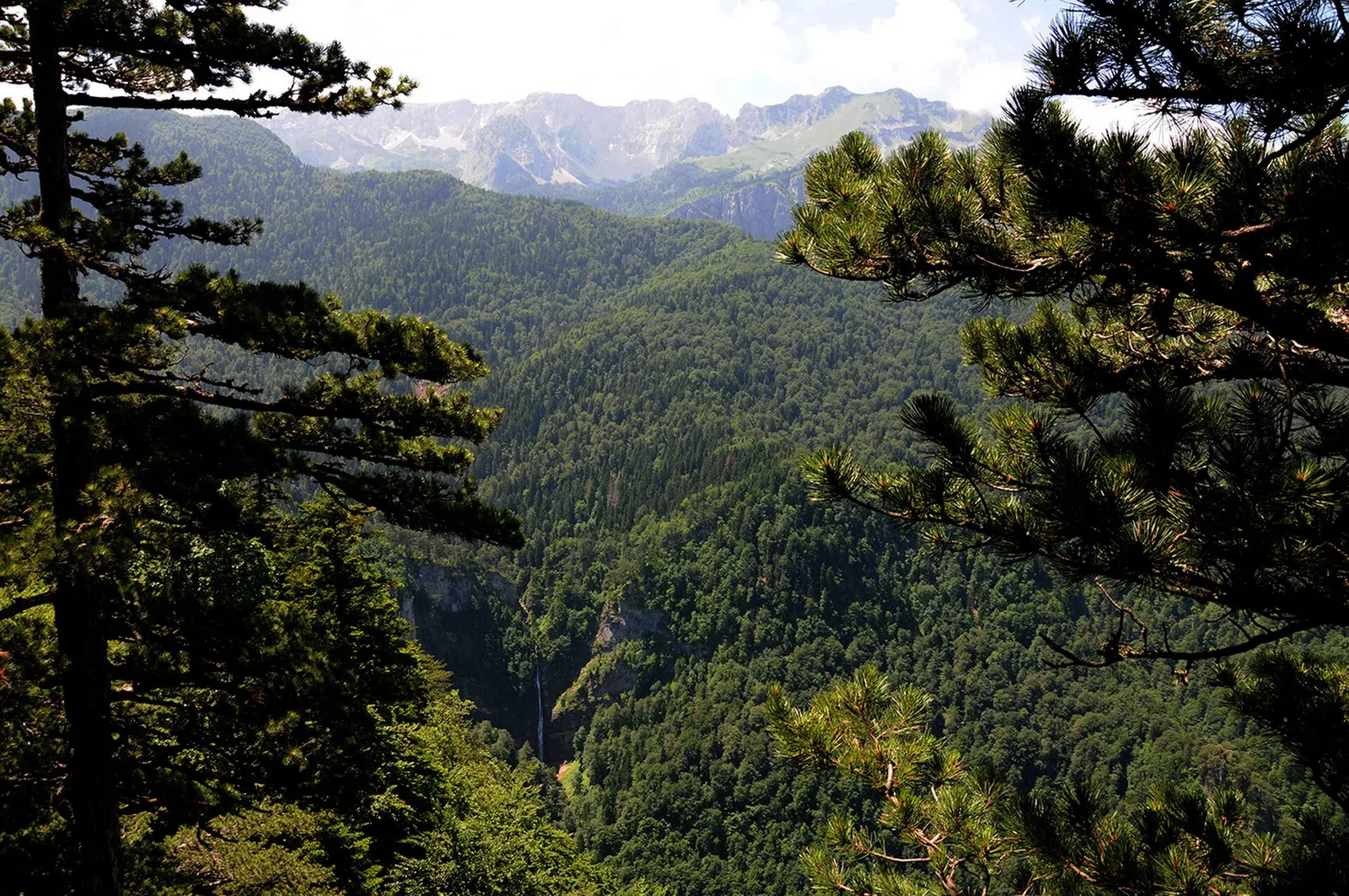 Sutjeska