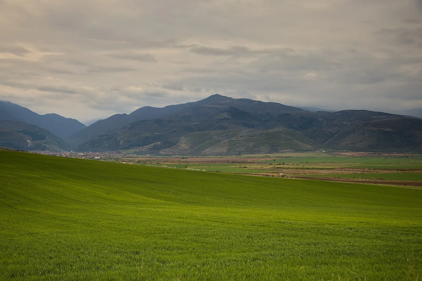 Rhodope