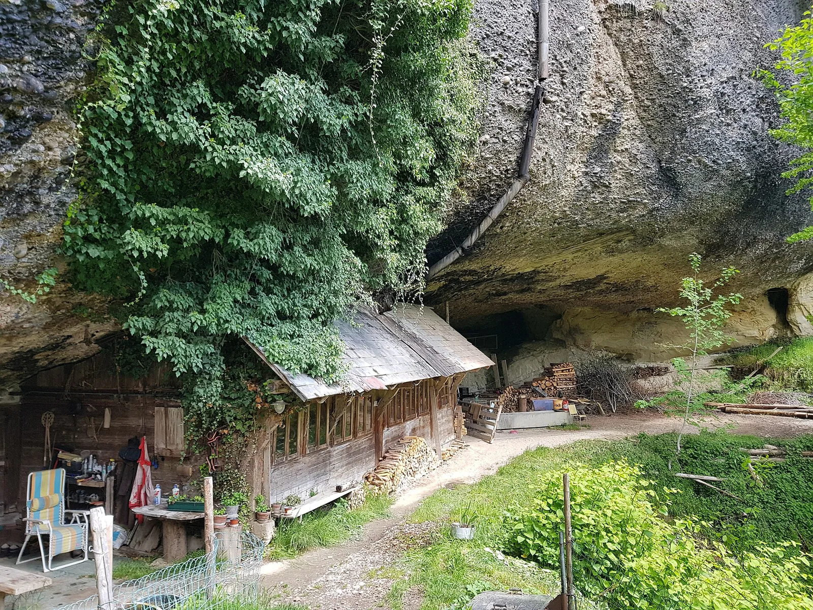 Emmental