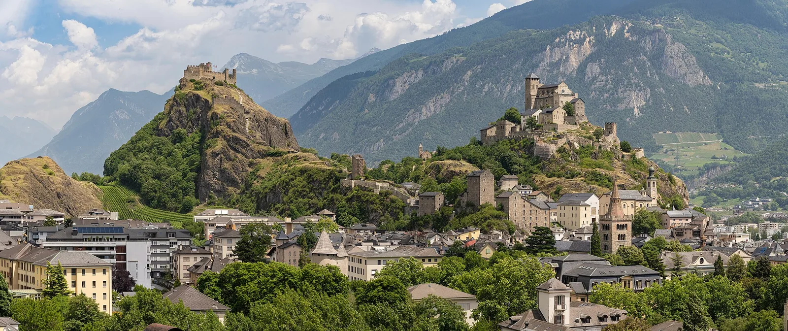 Valais Rhone terraces