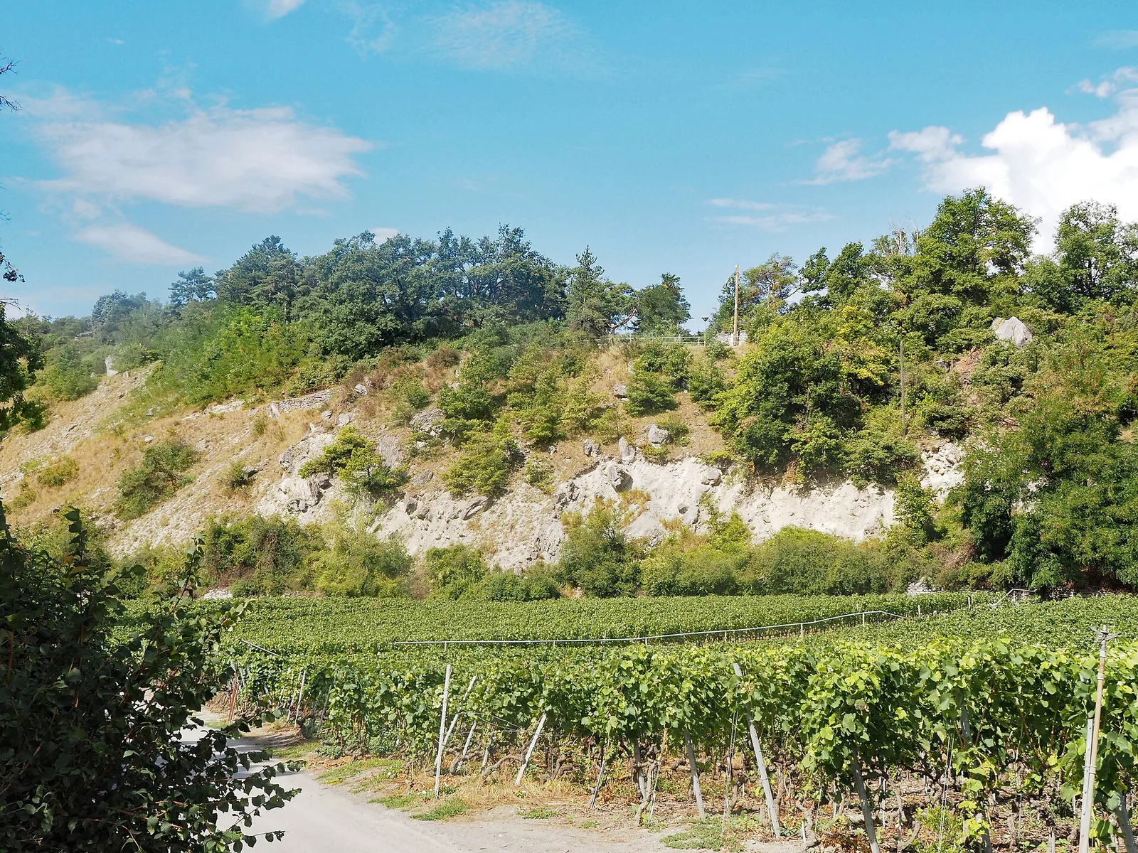 Sierre