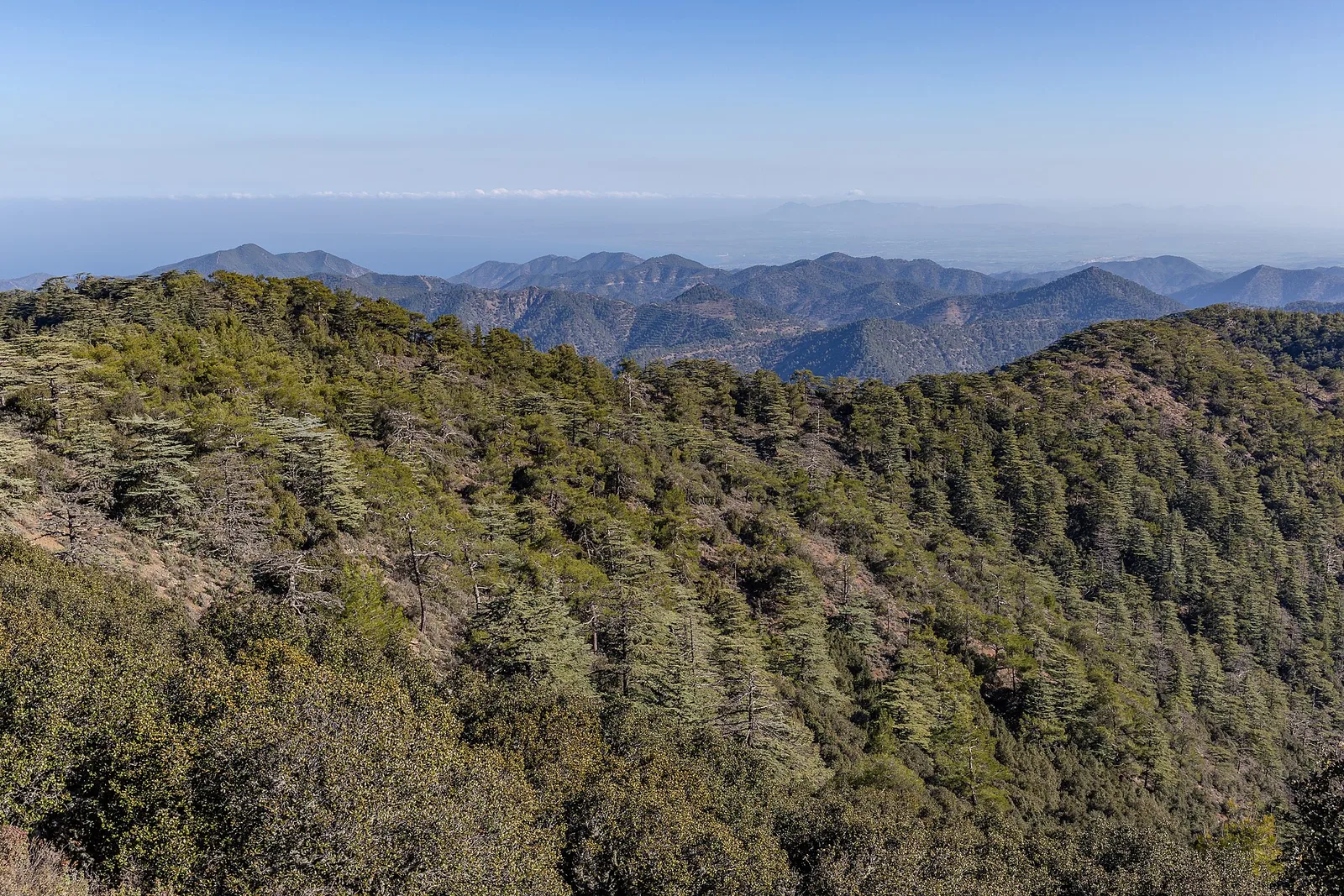 Troodos, Pafos e a costa do Chipre
