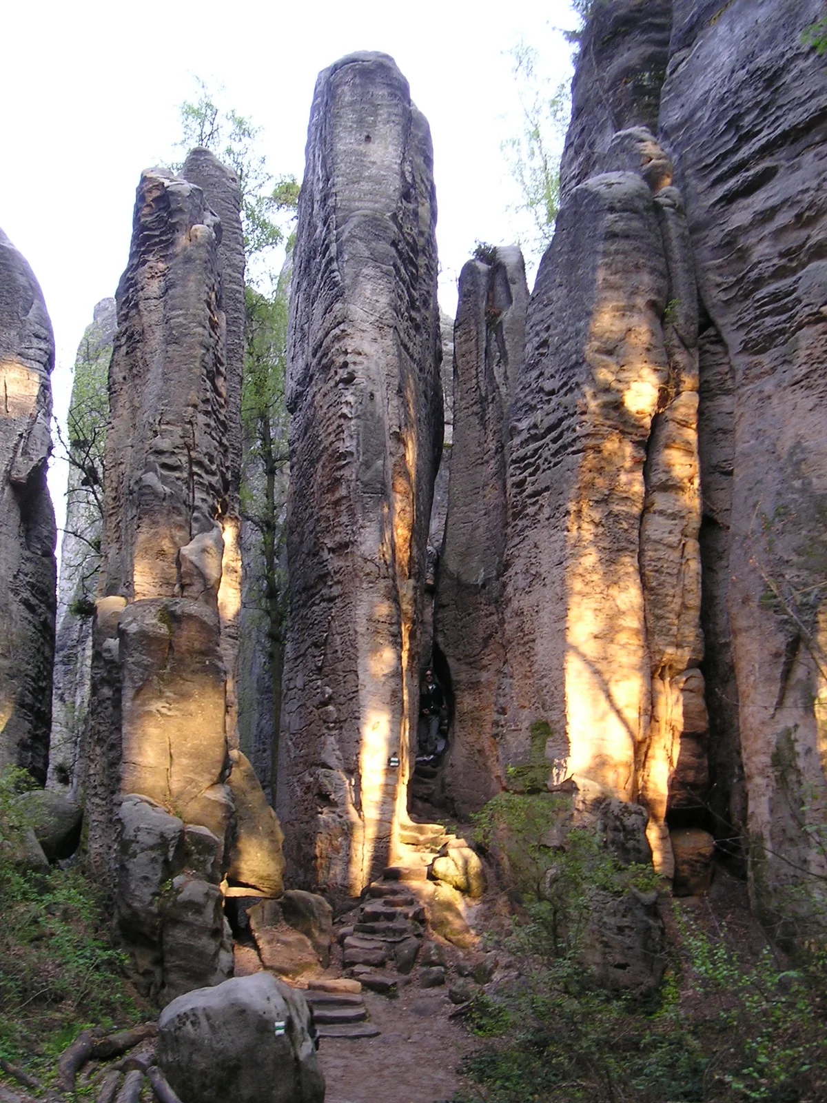 Bohemian Paradise