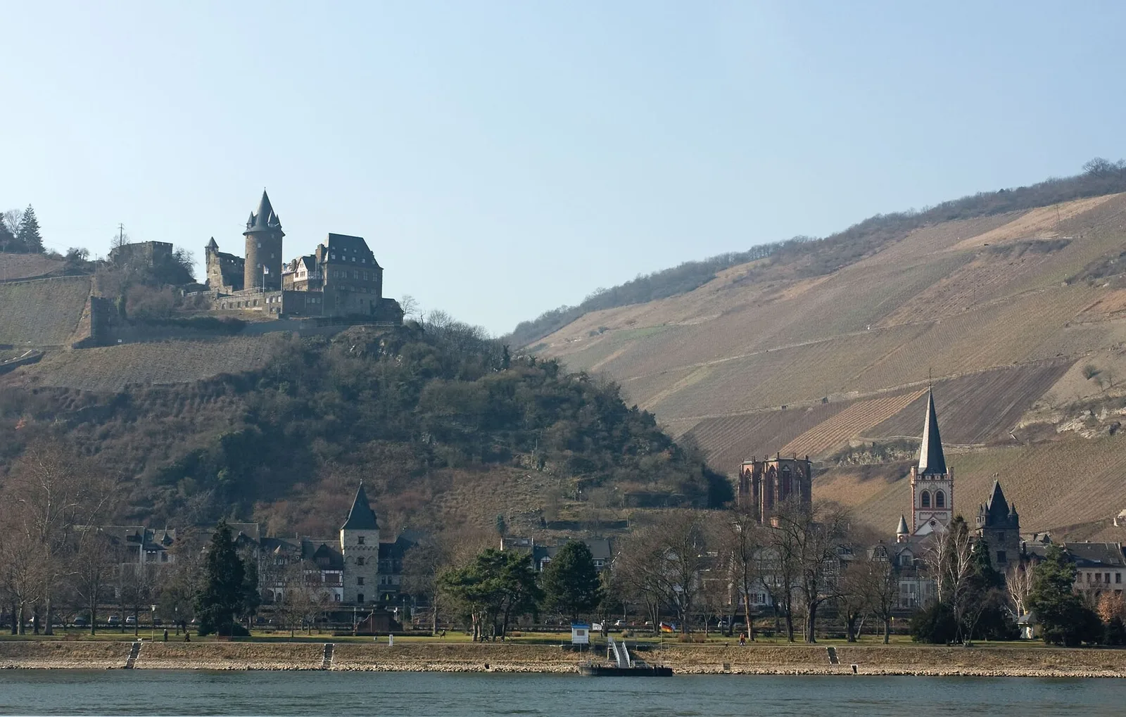 Rhine vines