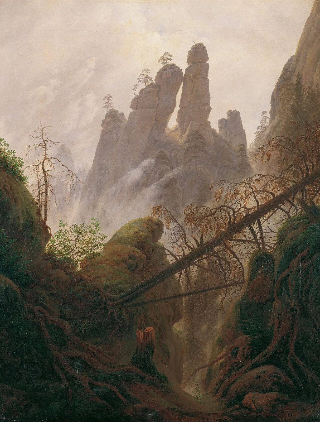 Elbe sandstone