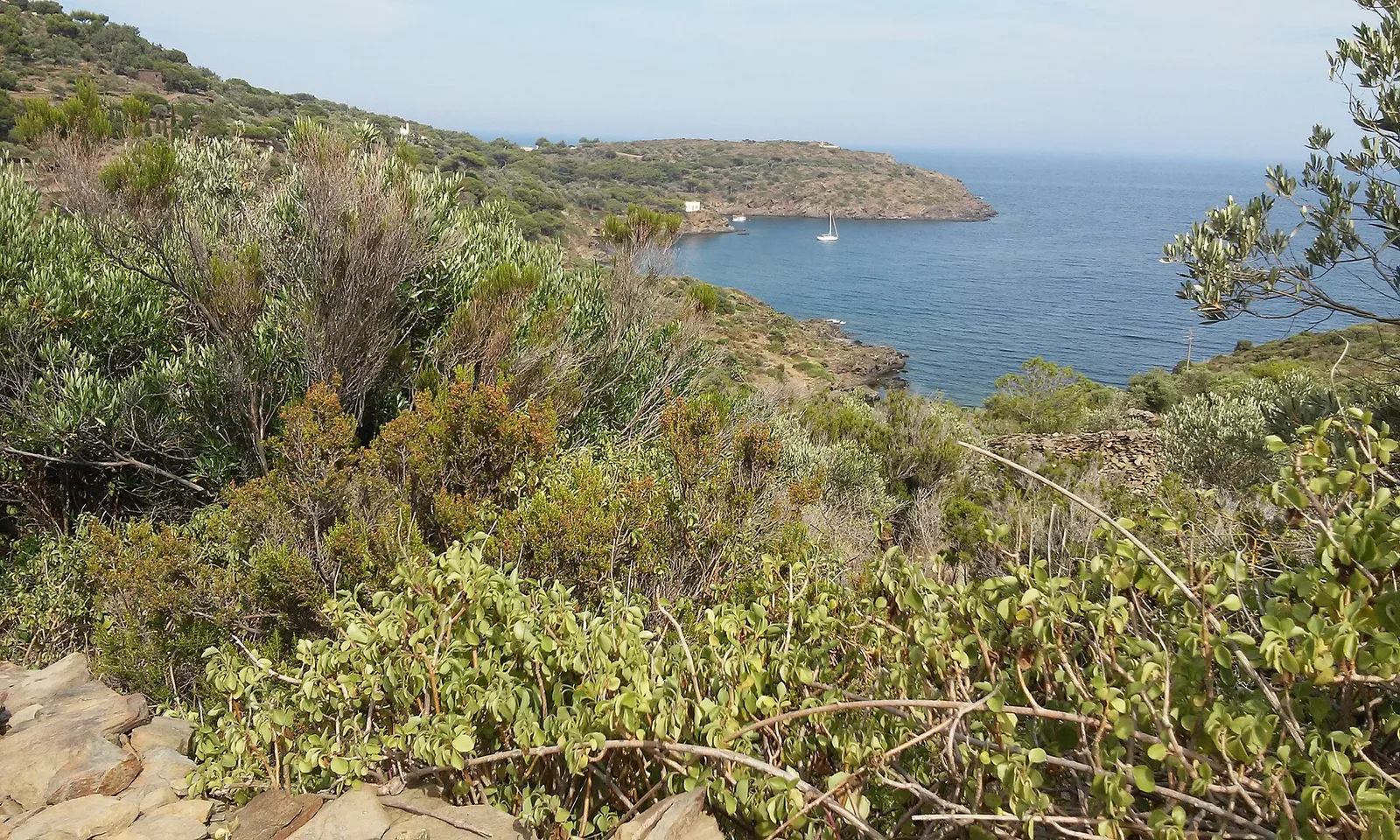 Cap de Creus