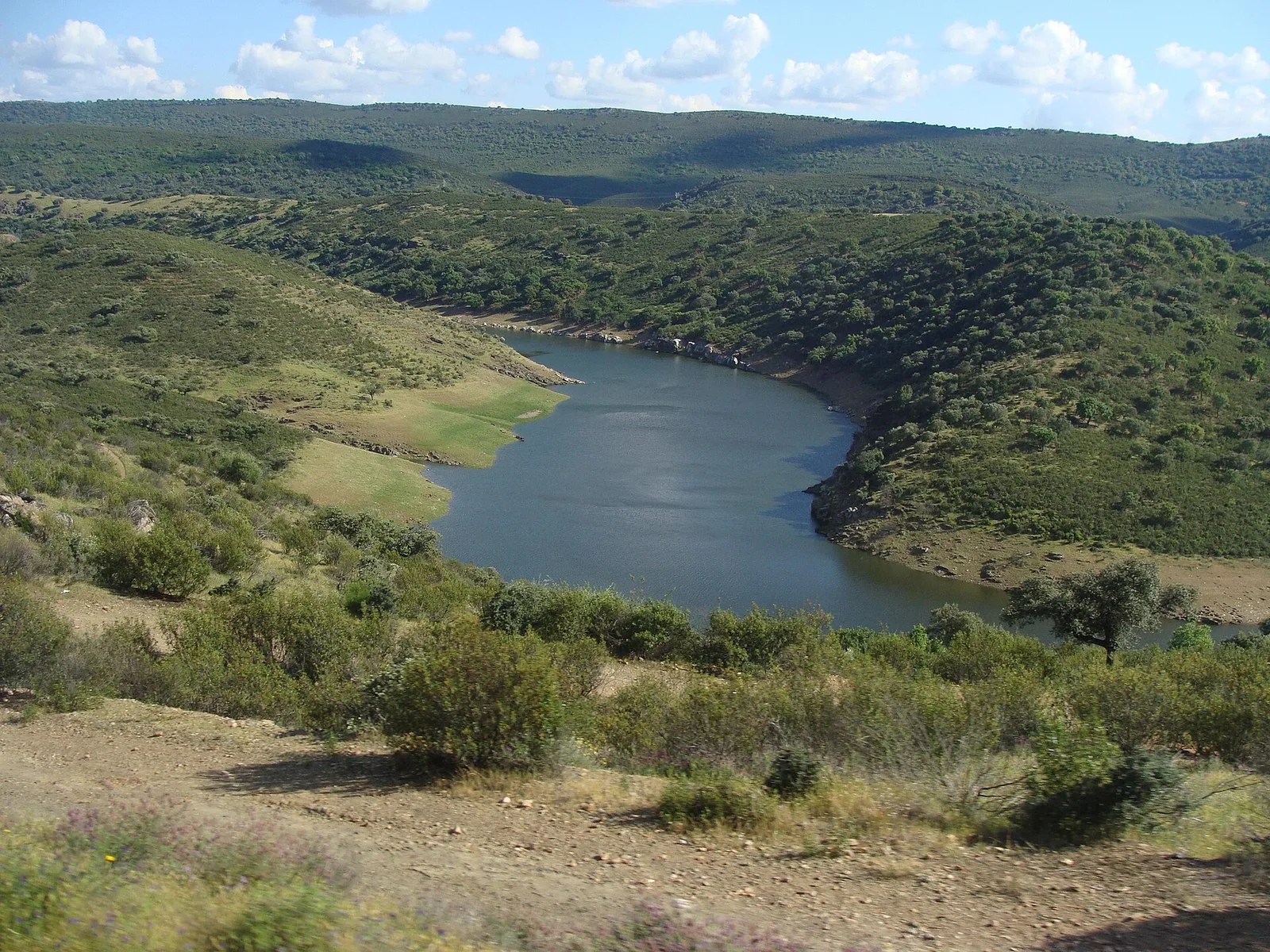 Tajo gorges