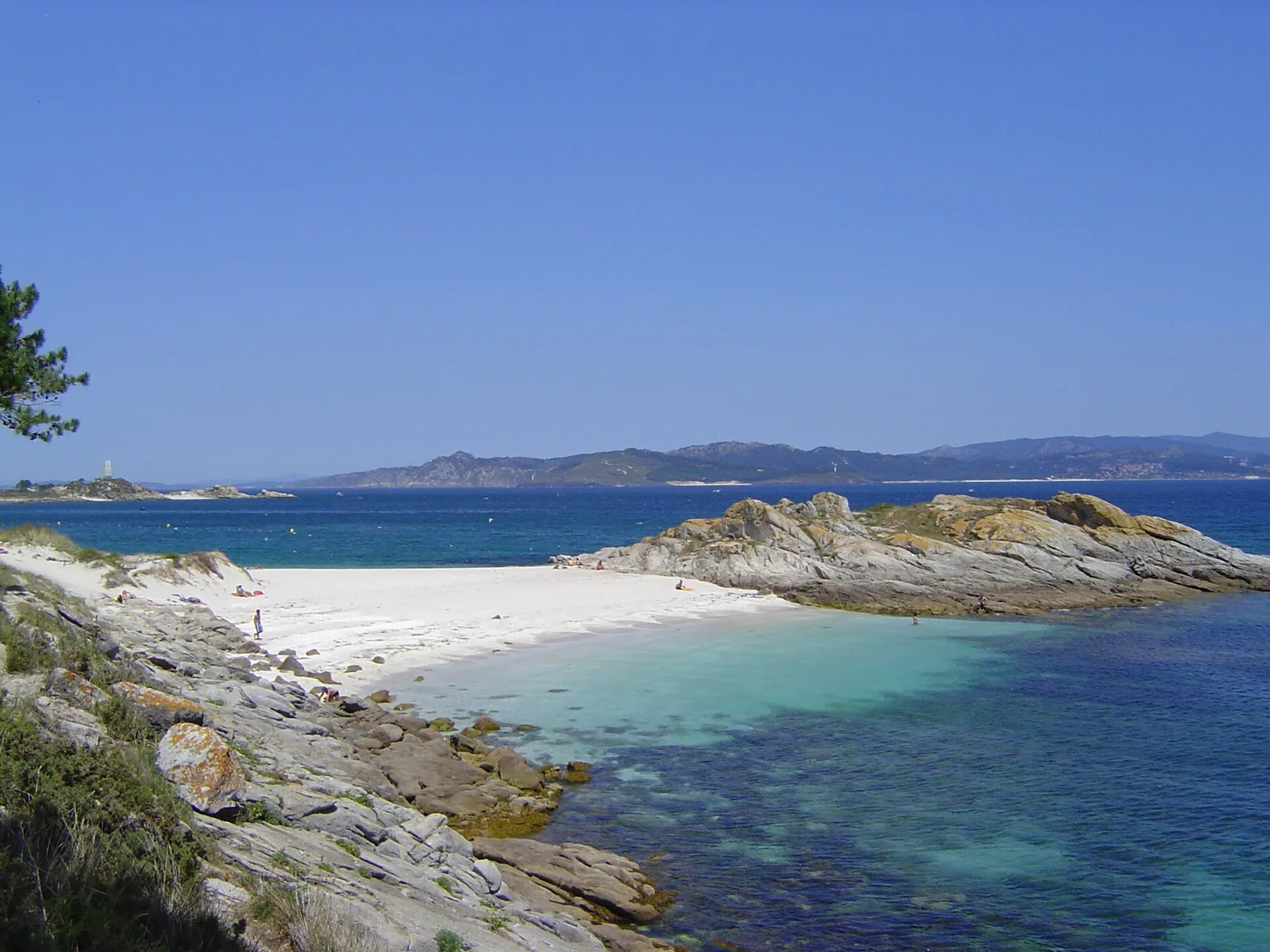 Cies