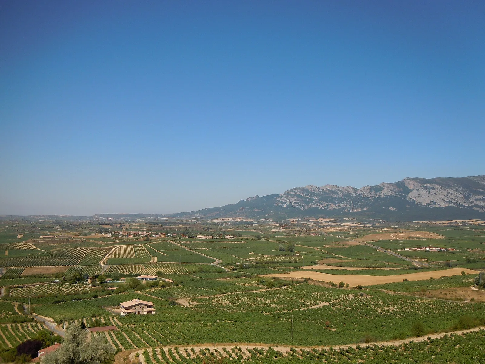 La Rioja wine road