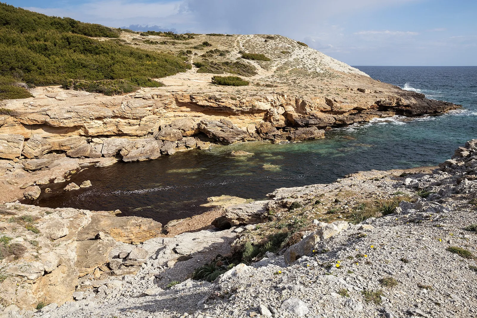 East coves