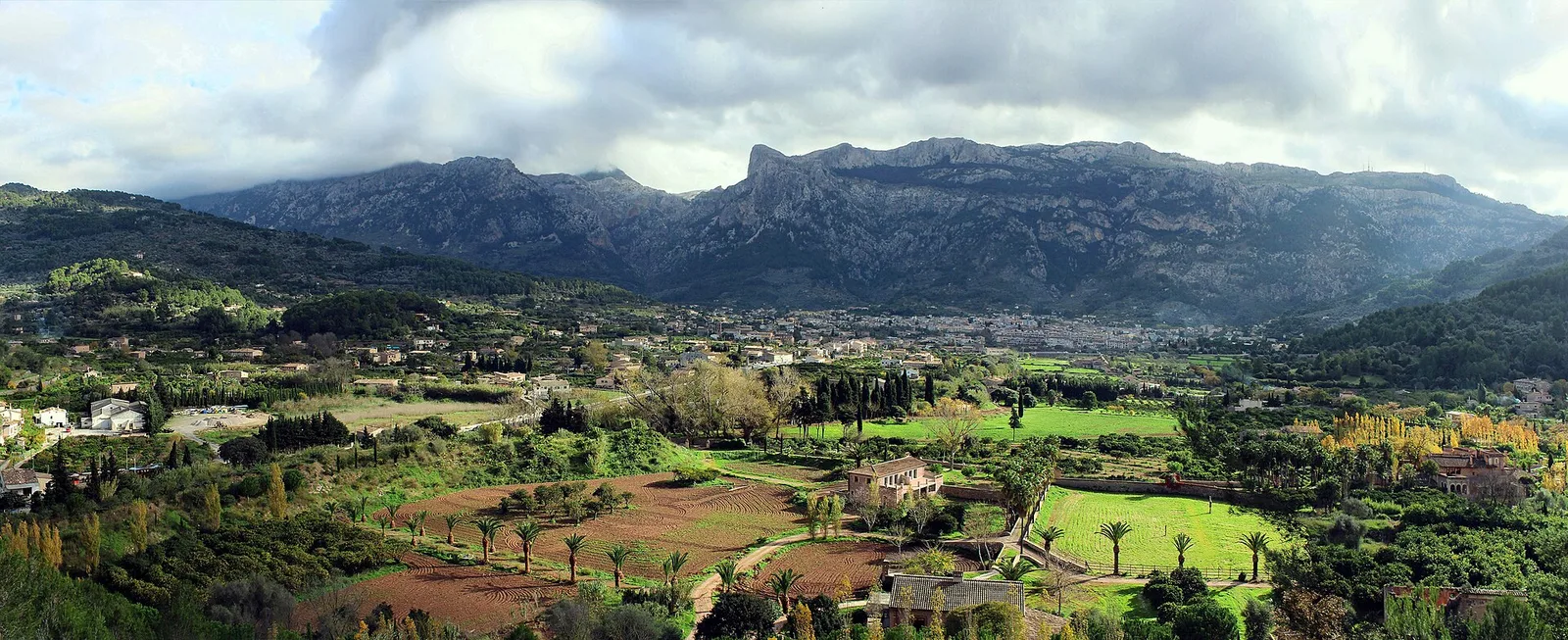 Soller