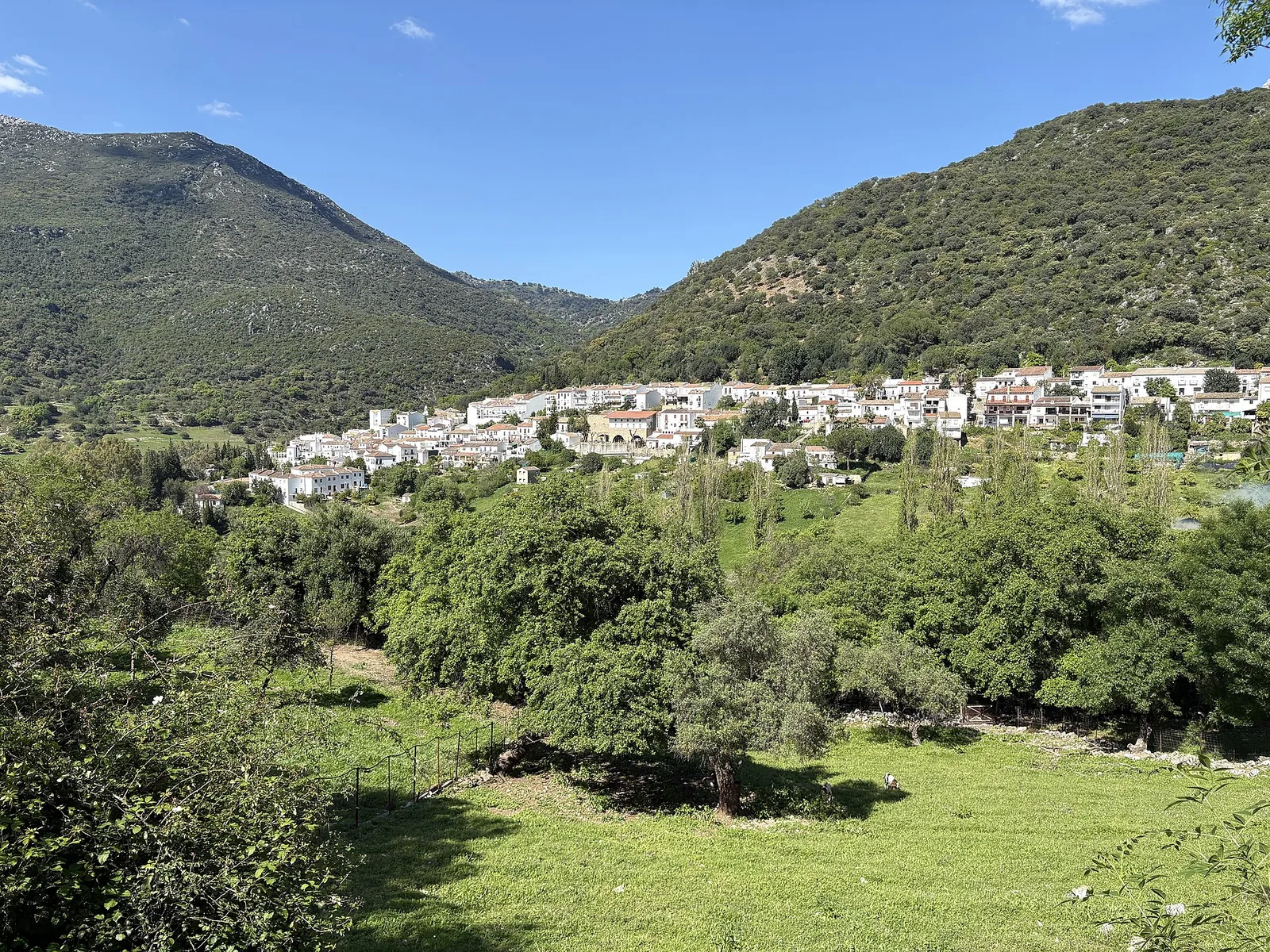 Grazalema