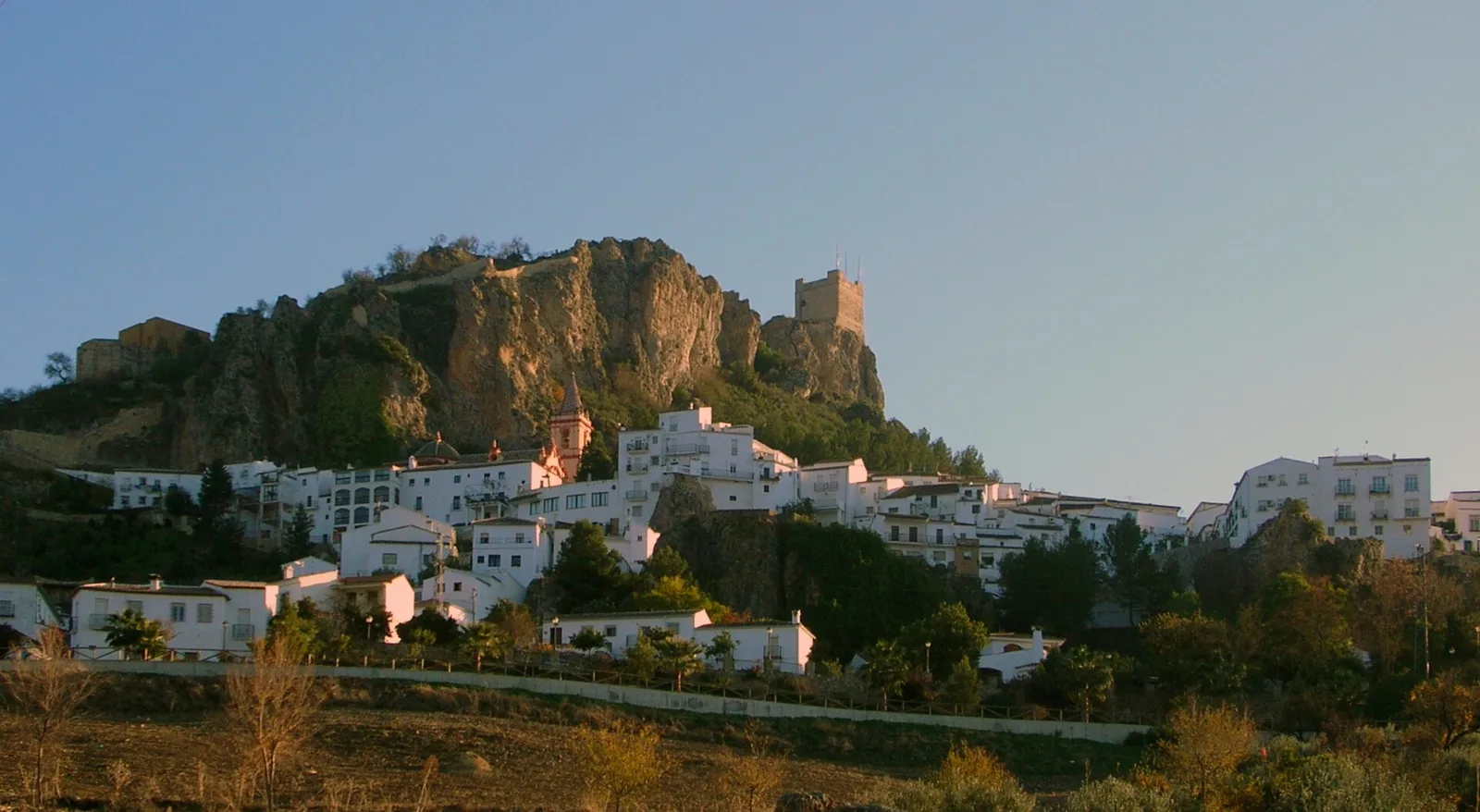 Zahara