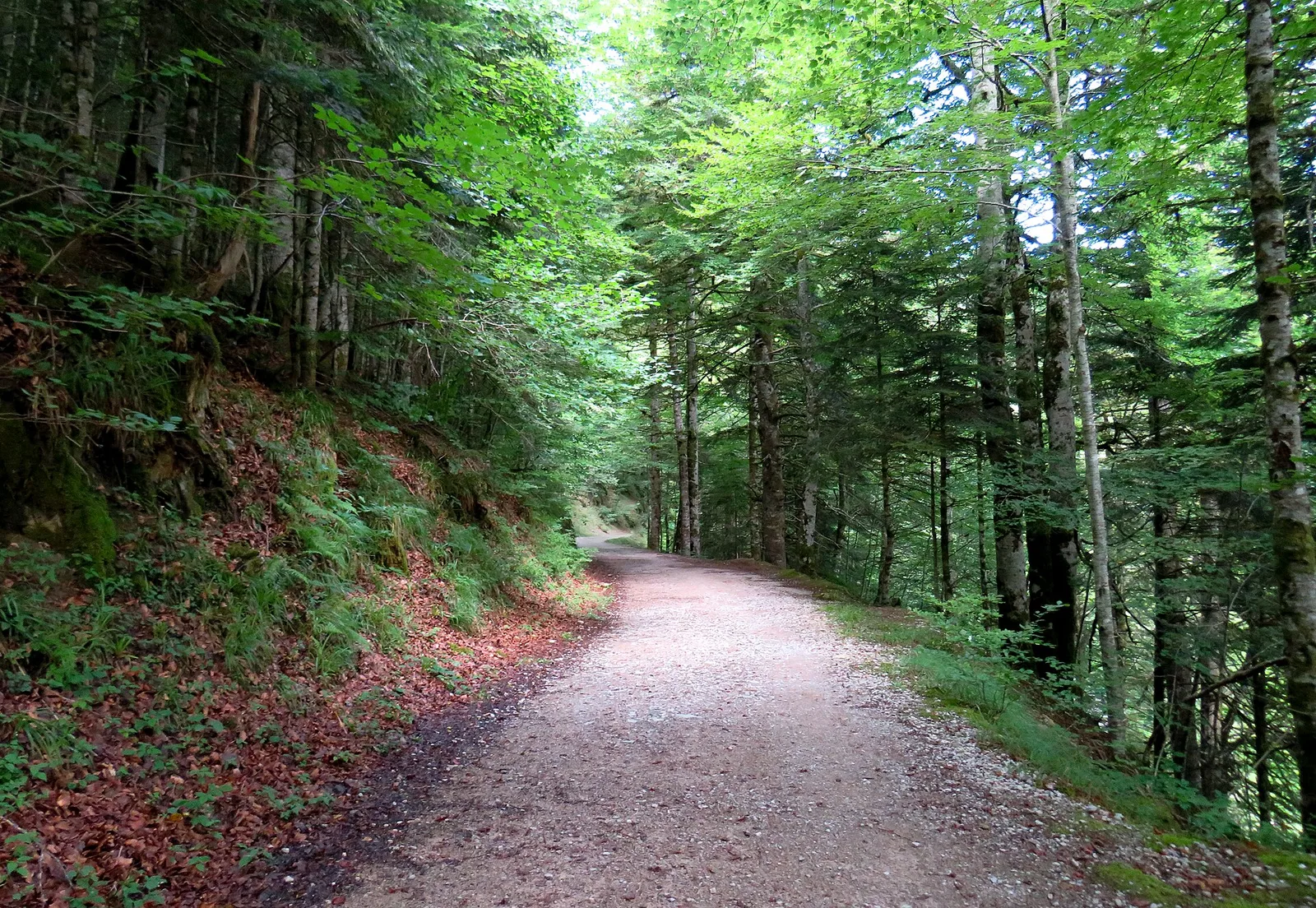 Col d Iraty