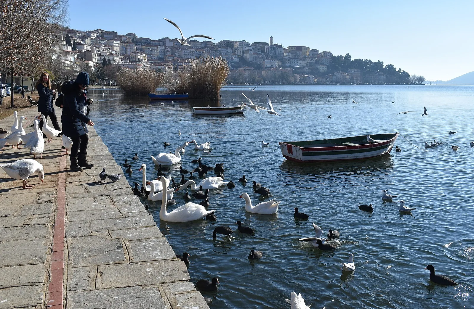 Kastoria and Lake Orestiada