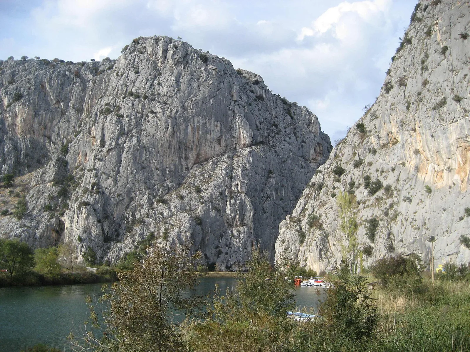 Omis
