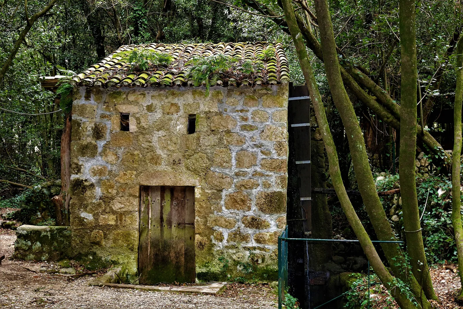 Konavle