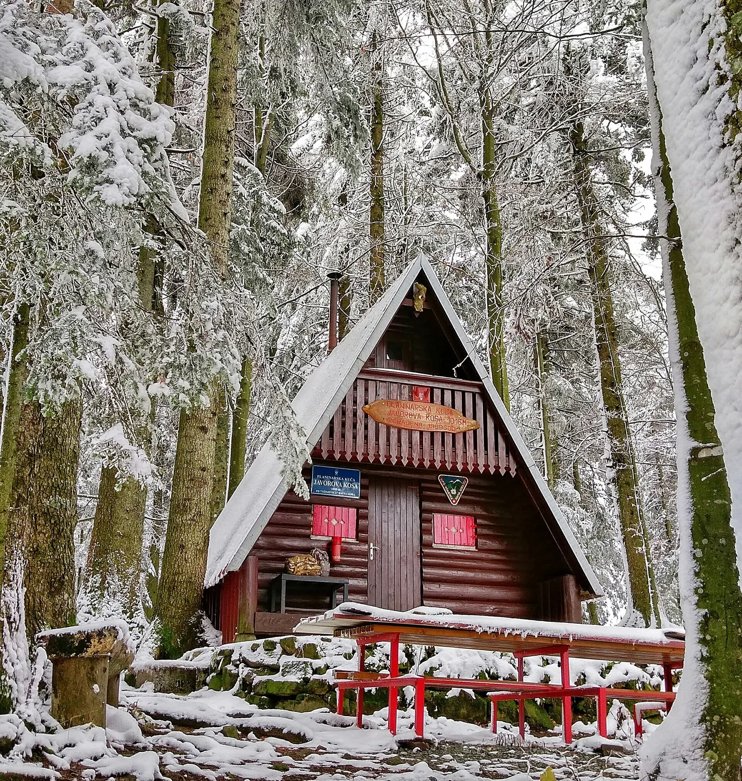 Gorski Kotar forests