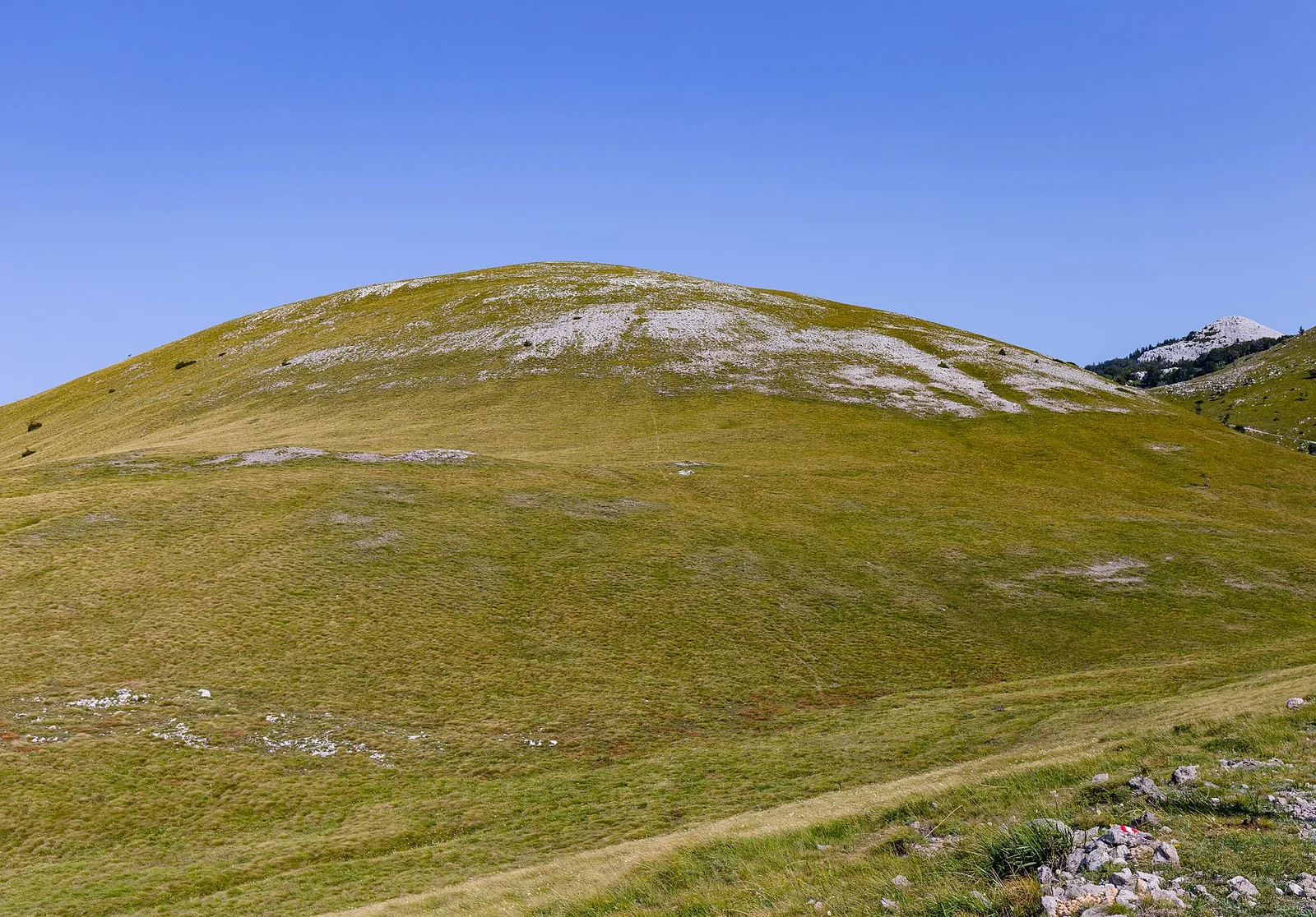 Risnjak
