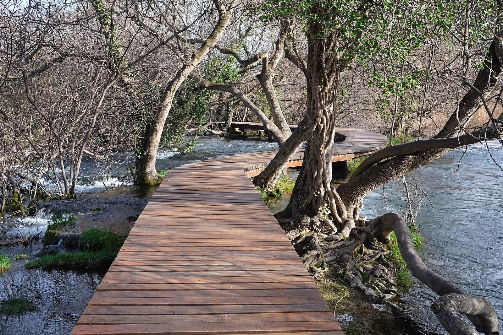 Boardwalks