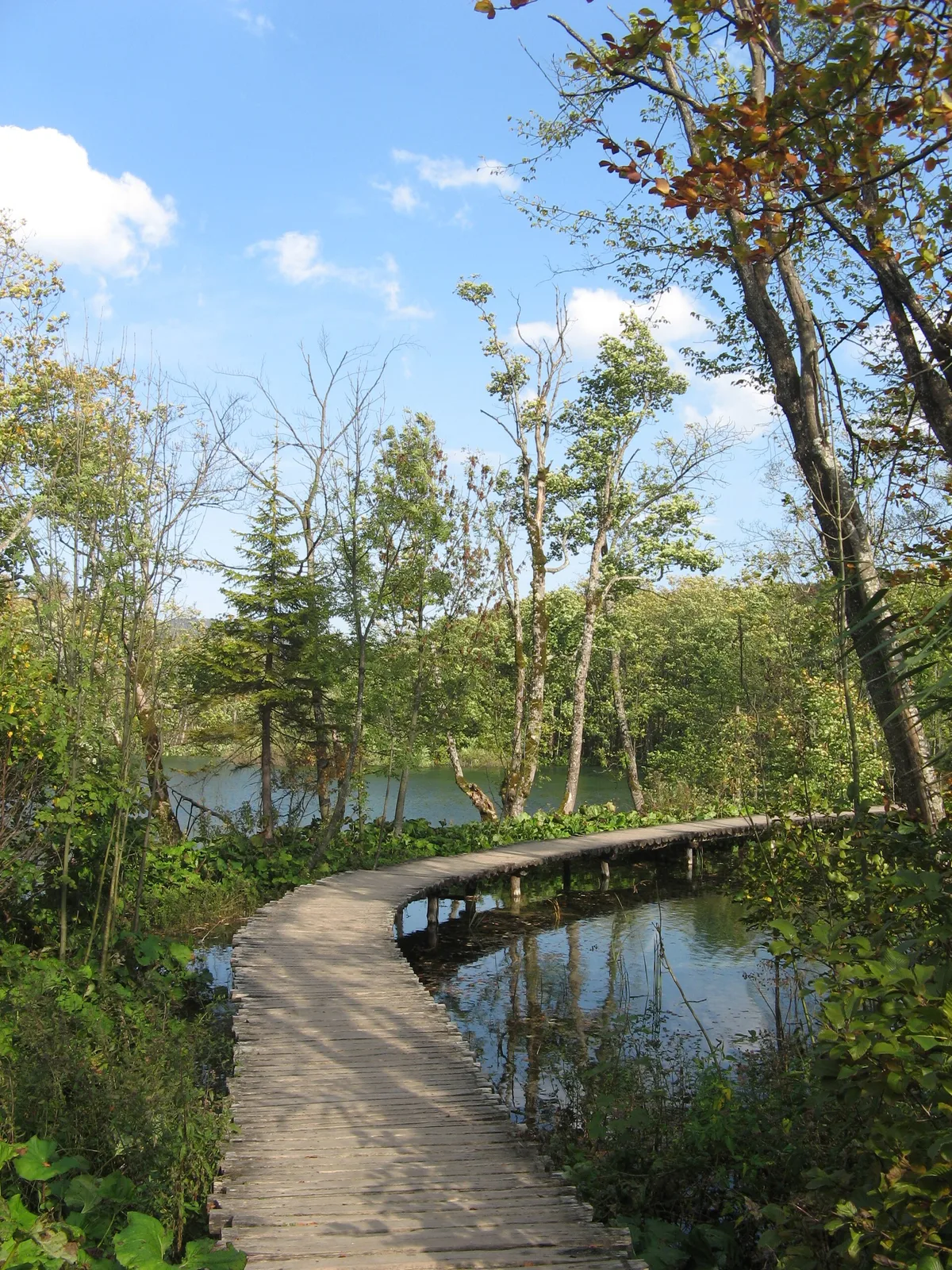 Boardwalks
