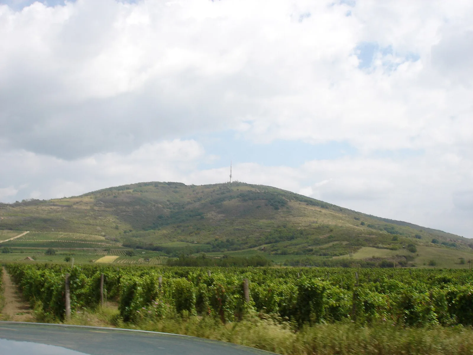 Danube Bend, Eger and Tokaj