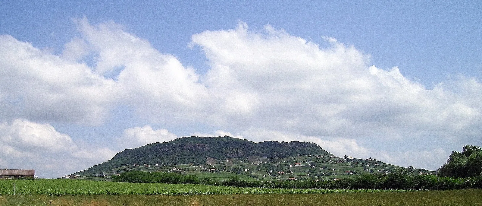 Somló, the lone volcanic wine hill