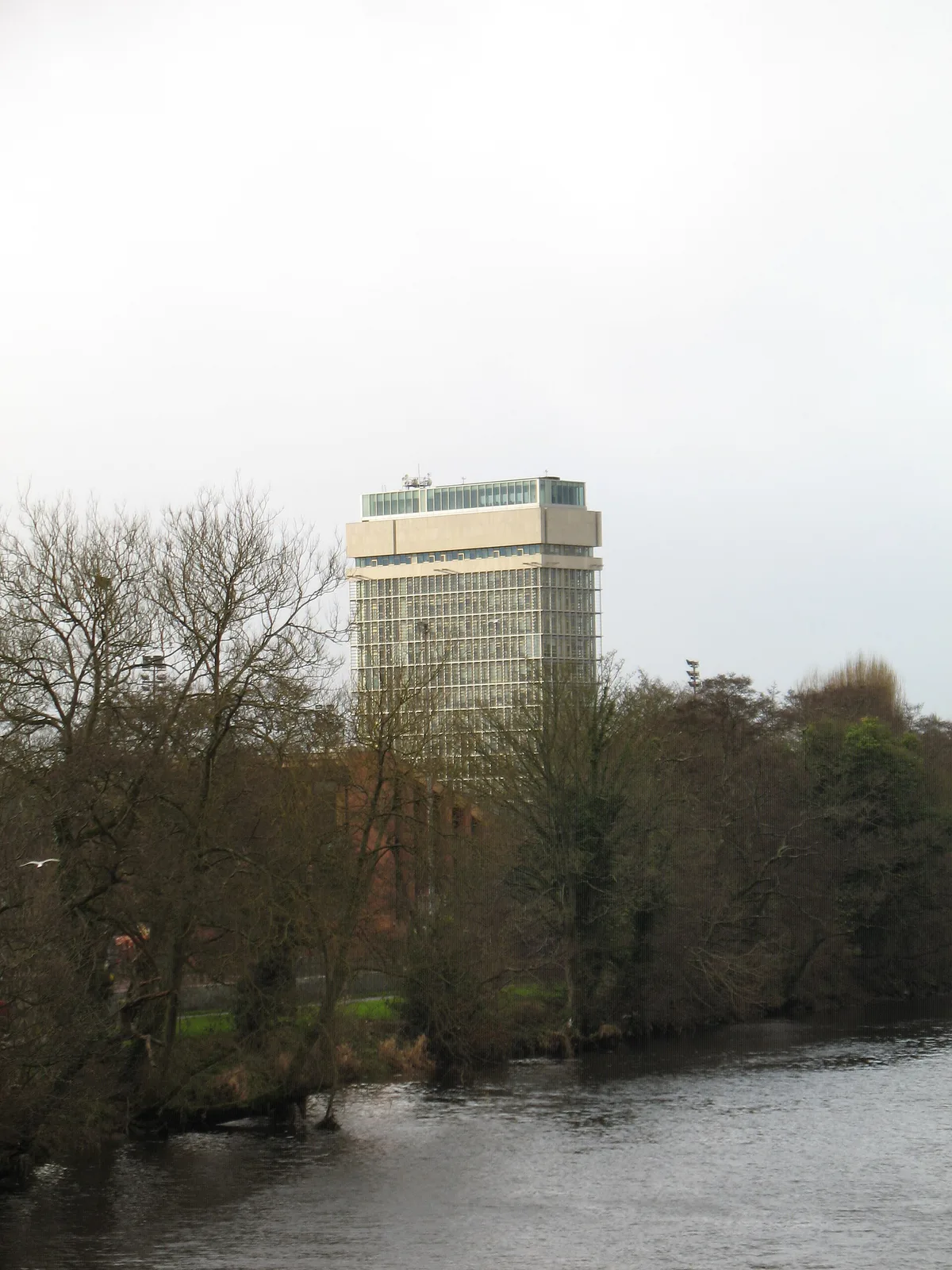 Cork