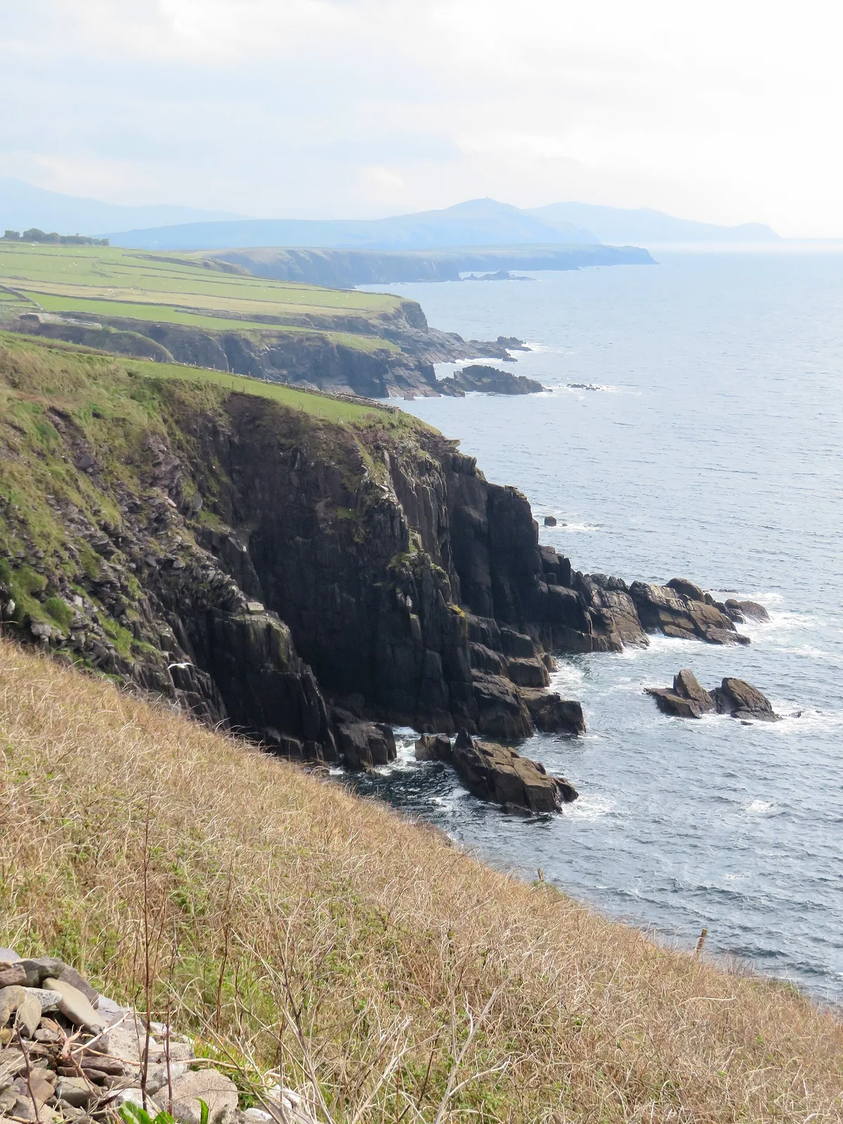 Dingle