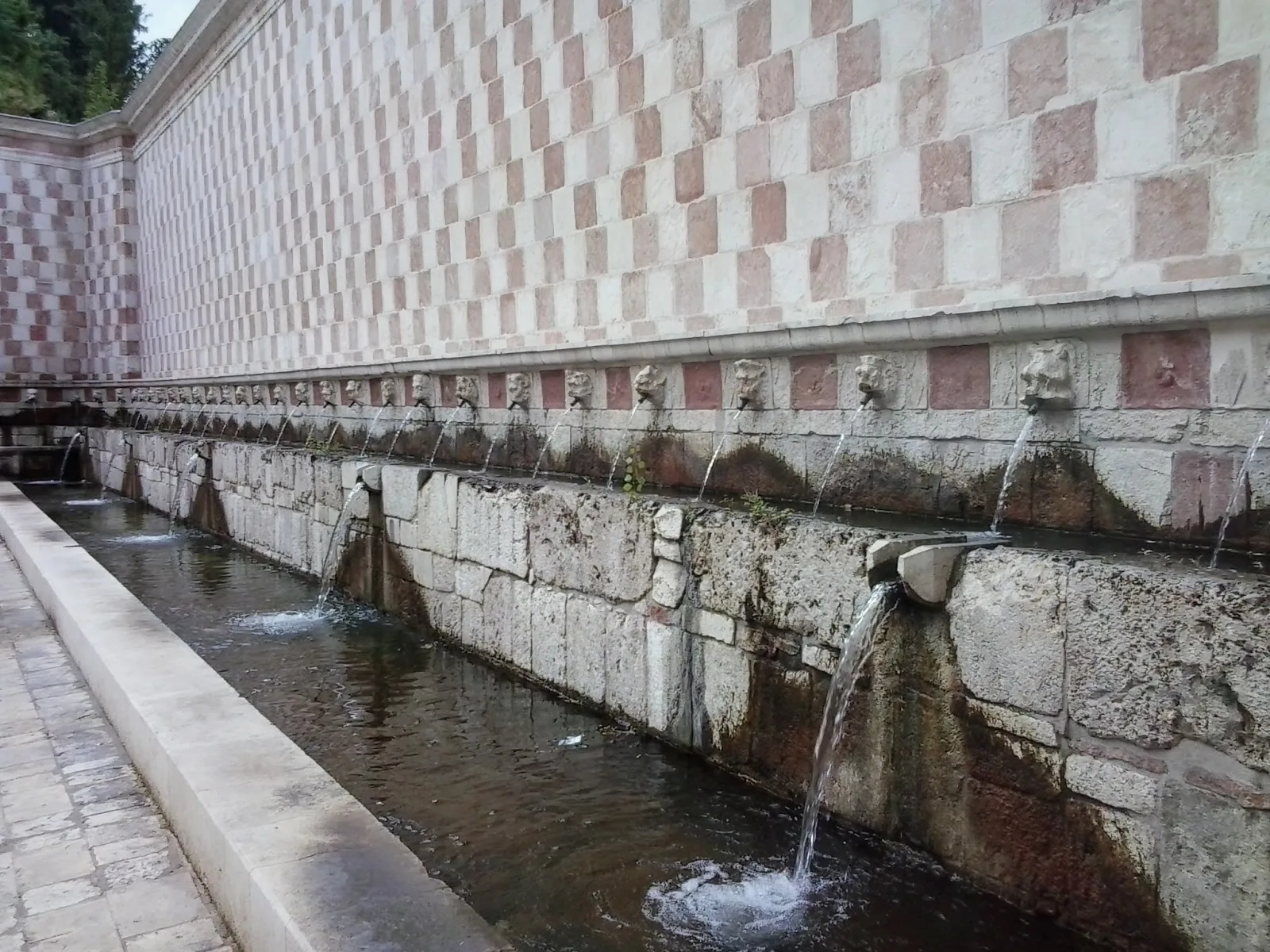 L Aquila