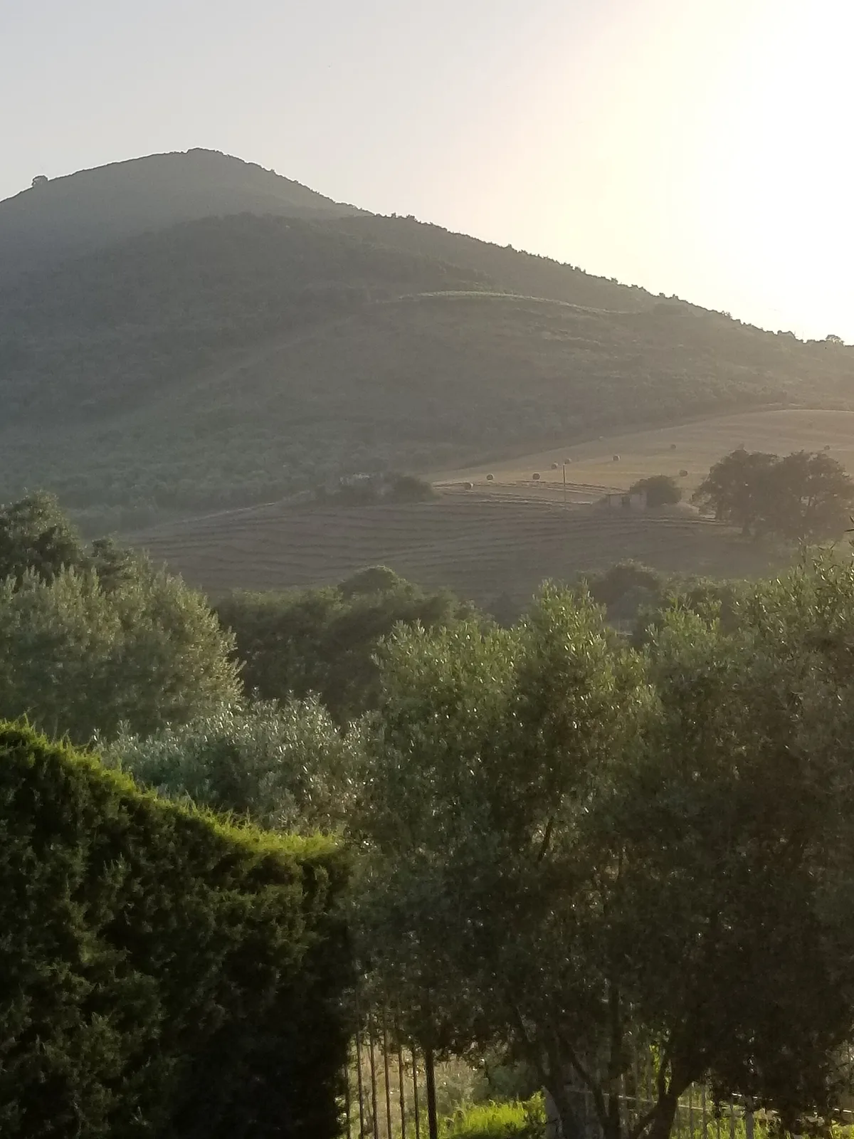 Agropoli
