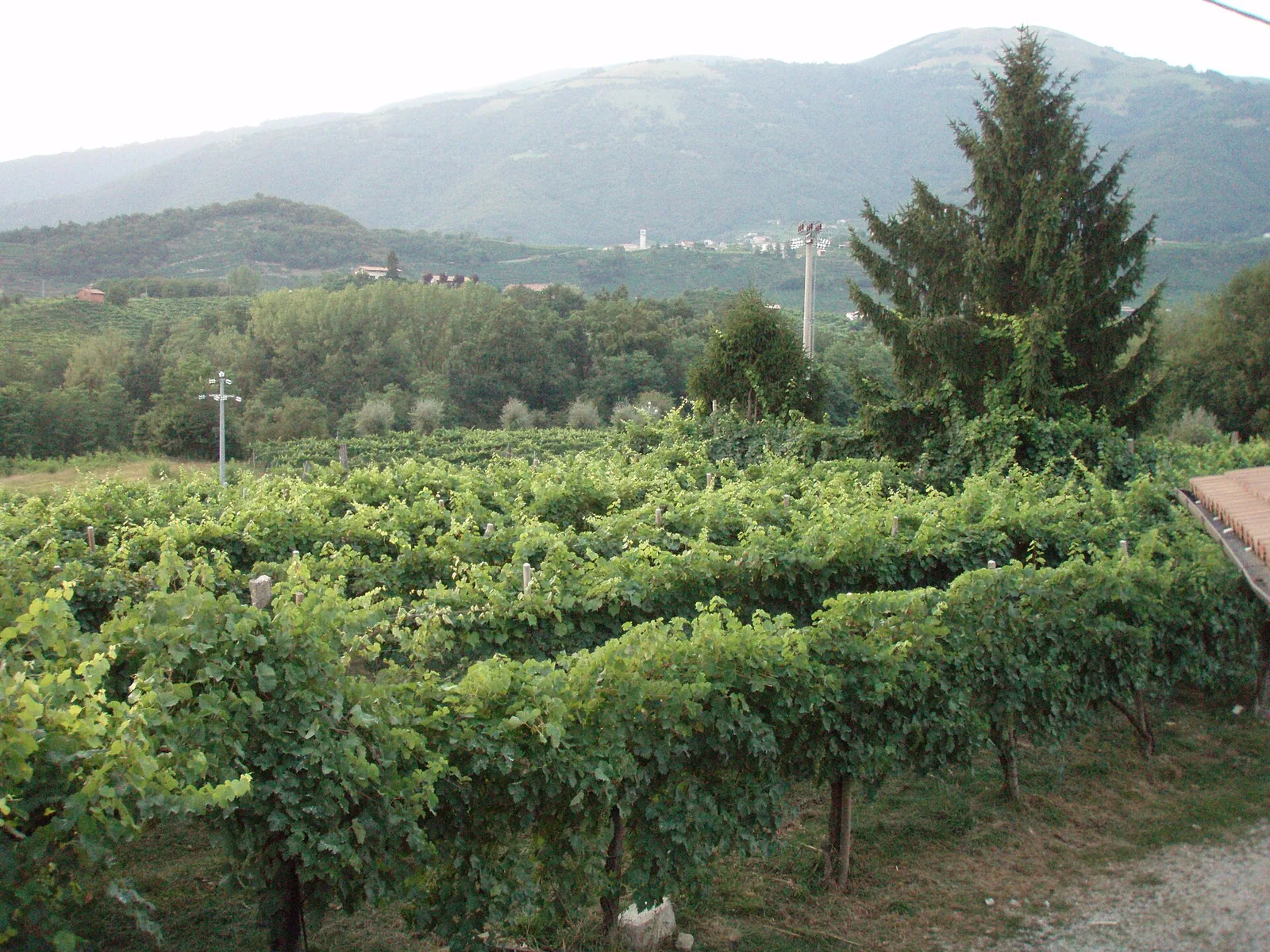 Valdobbiadene