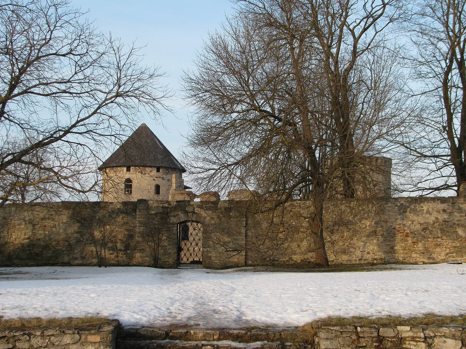 Cesis