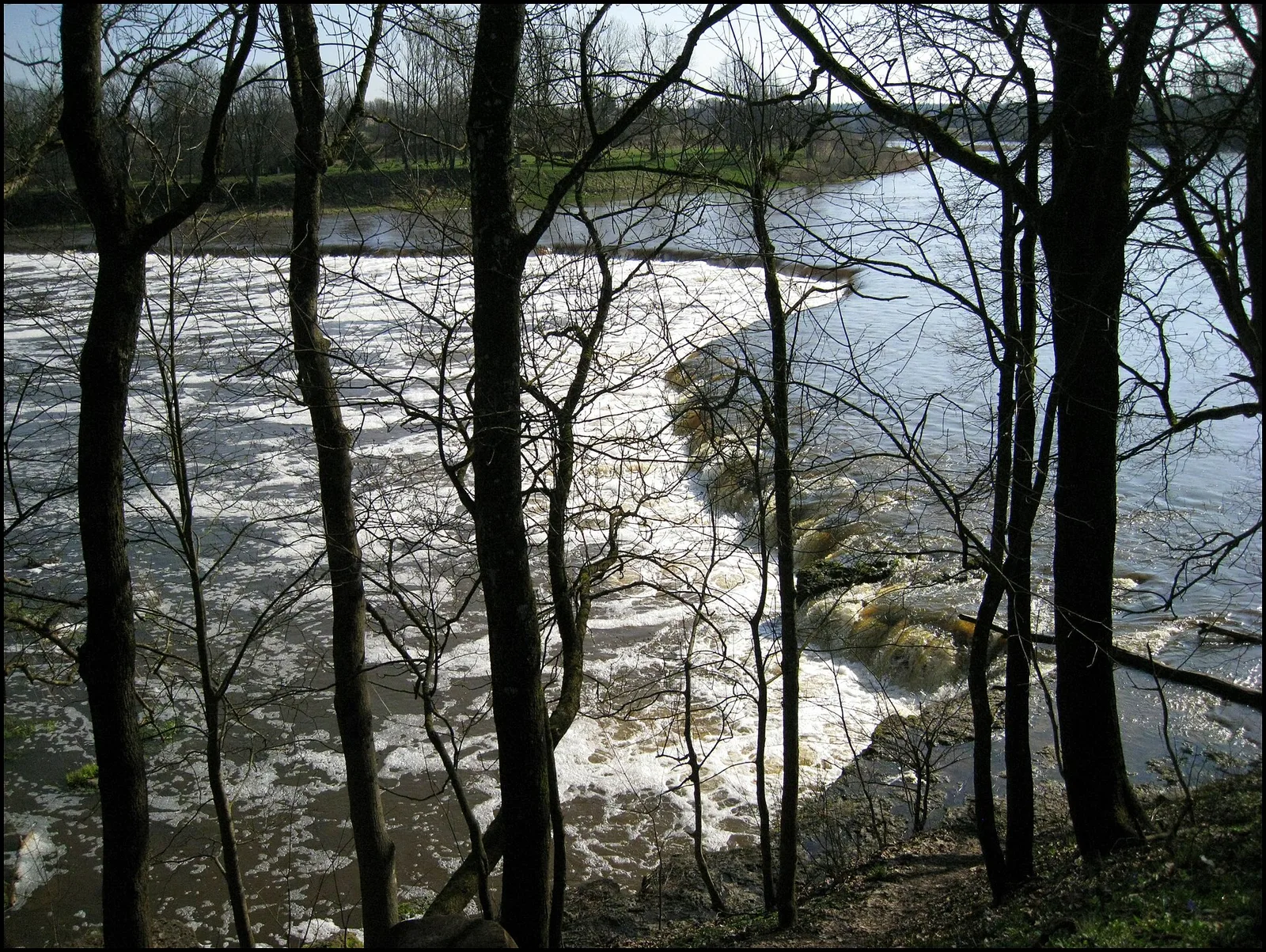 Kuldiga