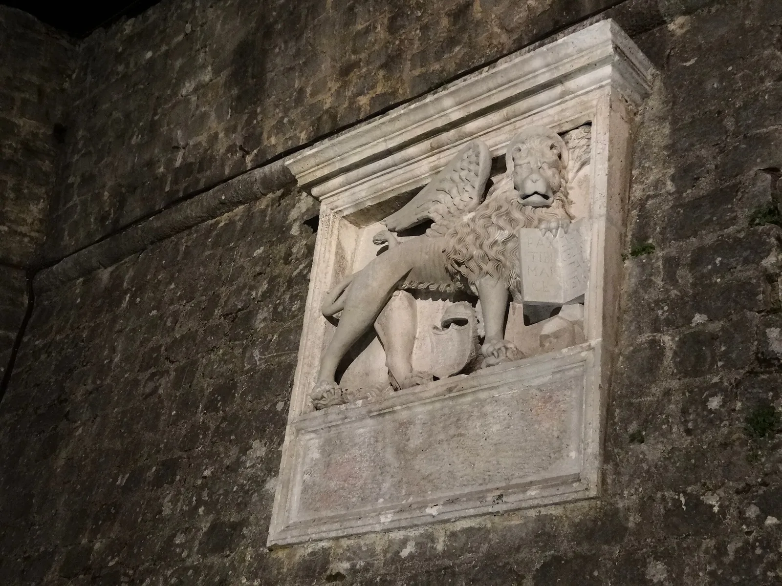 Kotor
