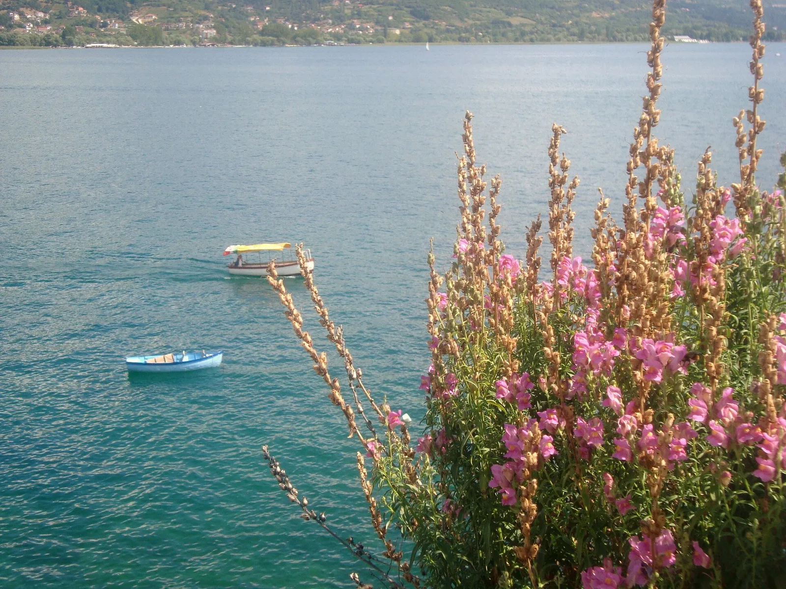 Ohrid