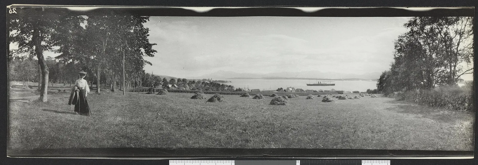 Molde