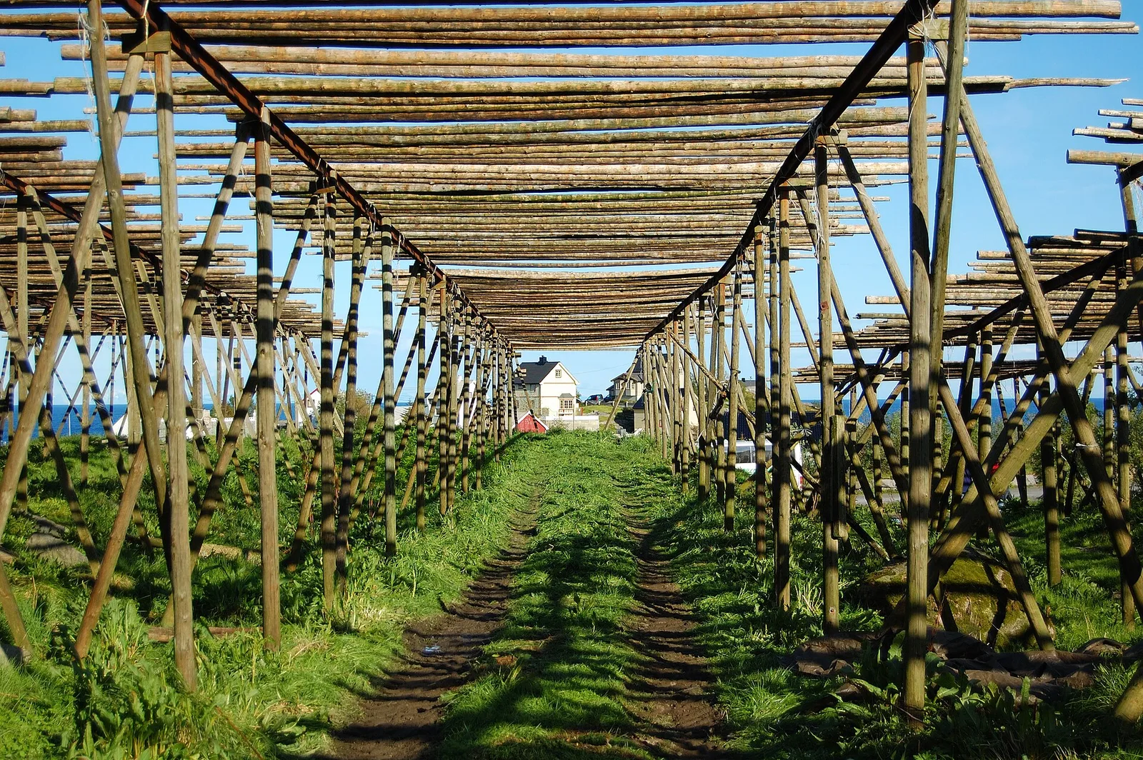 Stockfish racks