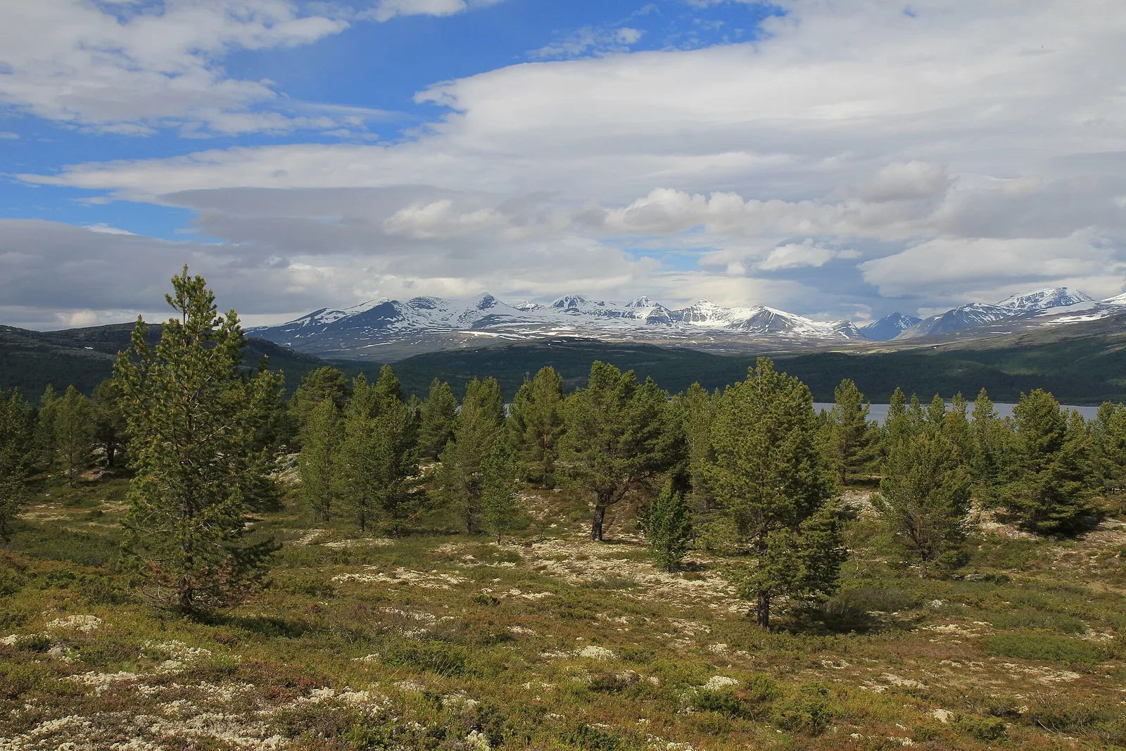Rondane and Jotunheimen