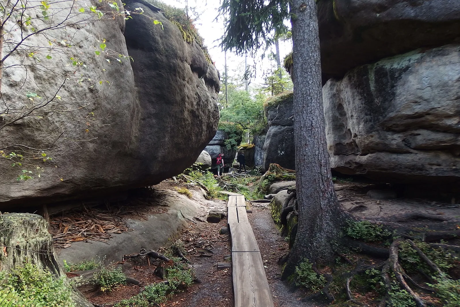 The rock maze of Błędne Skały
