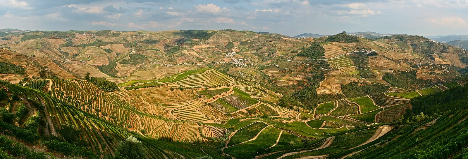 Terraces