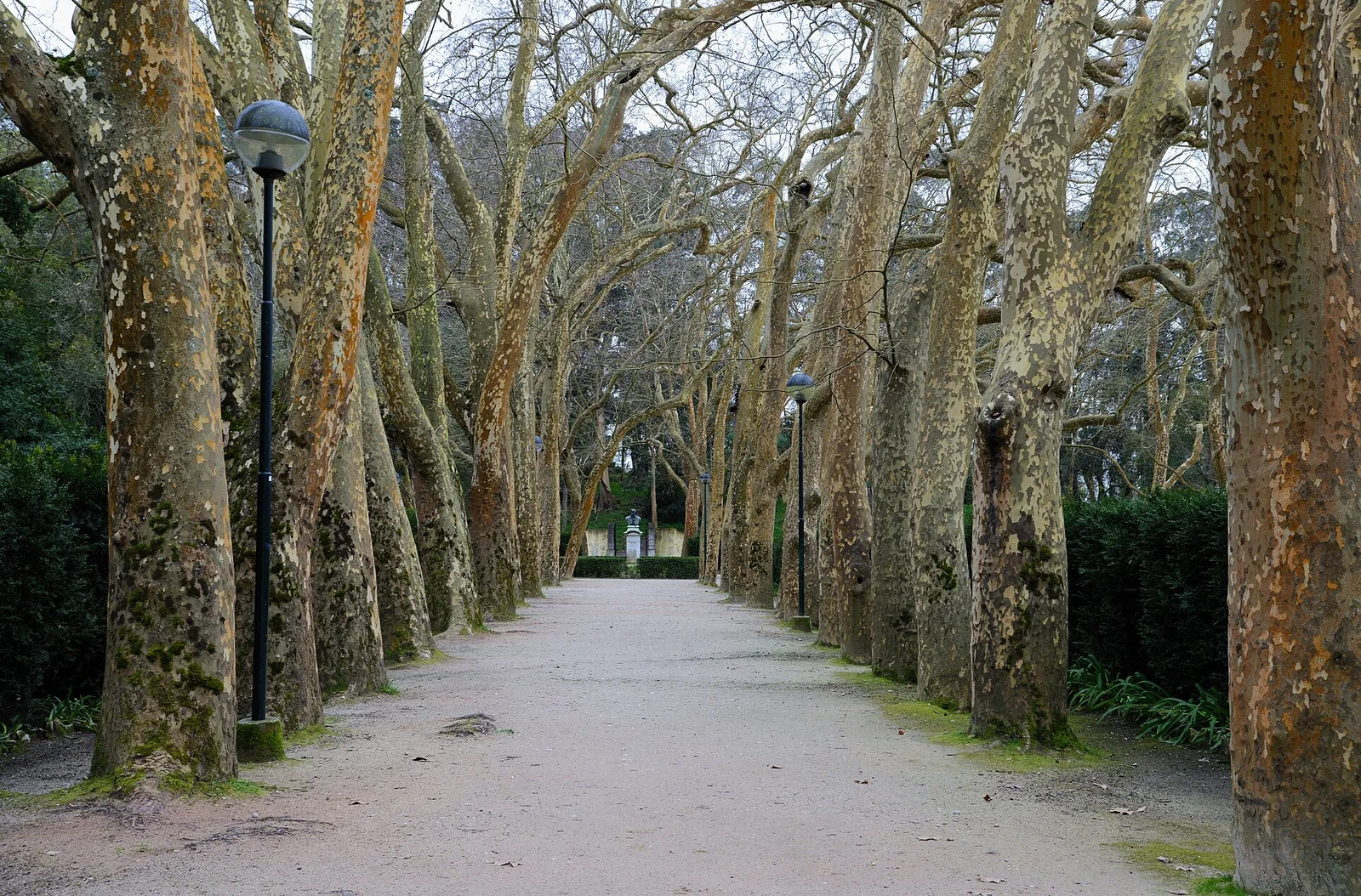 Caldas da Rainha