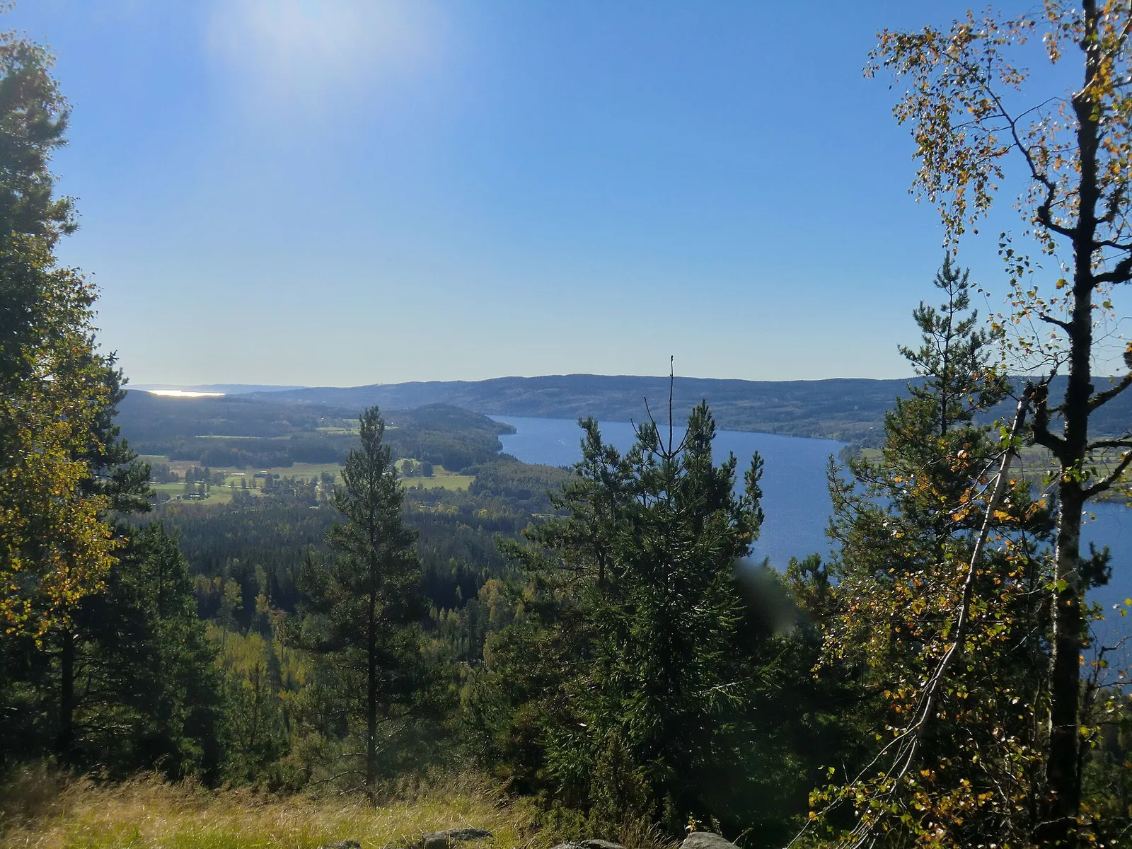 Sunne