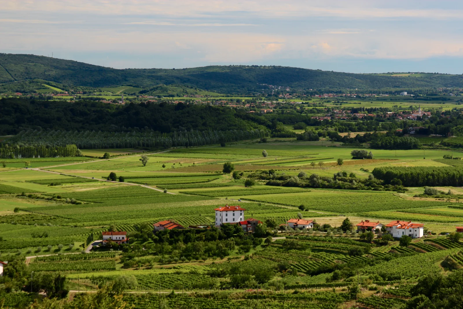 Goriska Brda wine hills