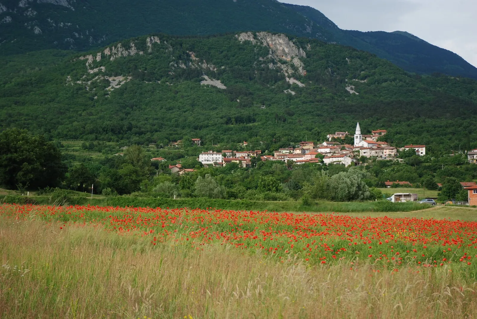 Vipava